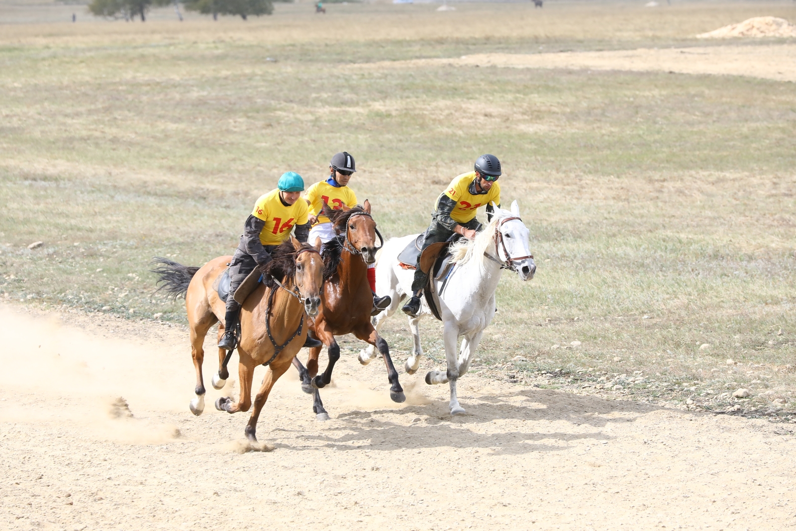 Аургазинцы блистали на «Башкорт аты»!