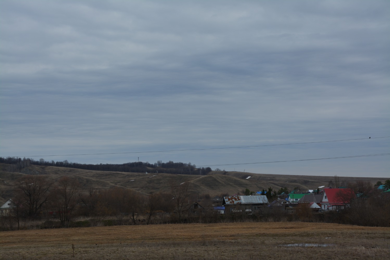Фото: Гузель Кудашева.