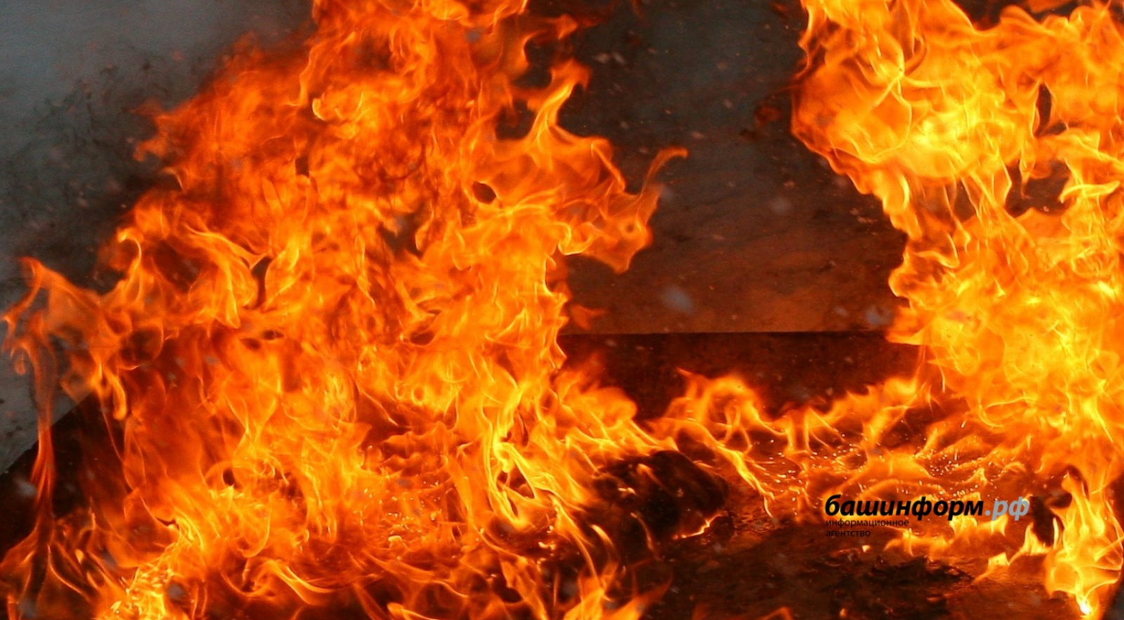 Люди бросают спички: почему горят поля в Башкирии?
