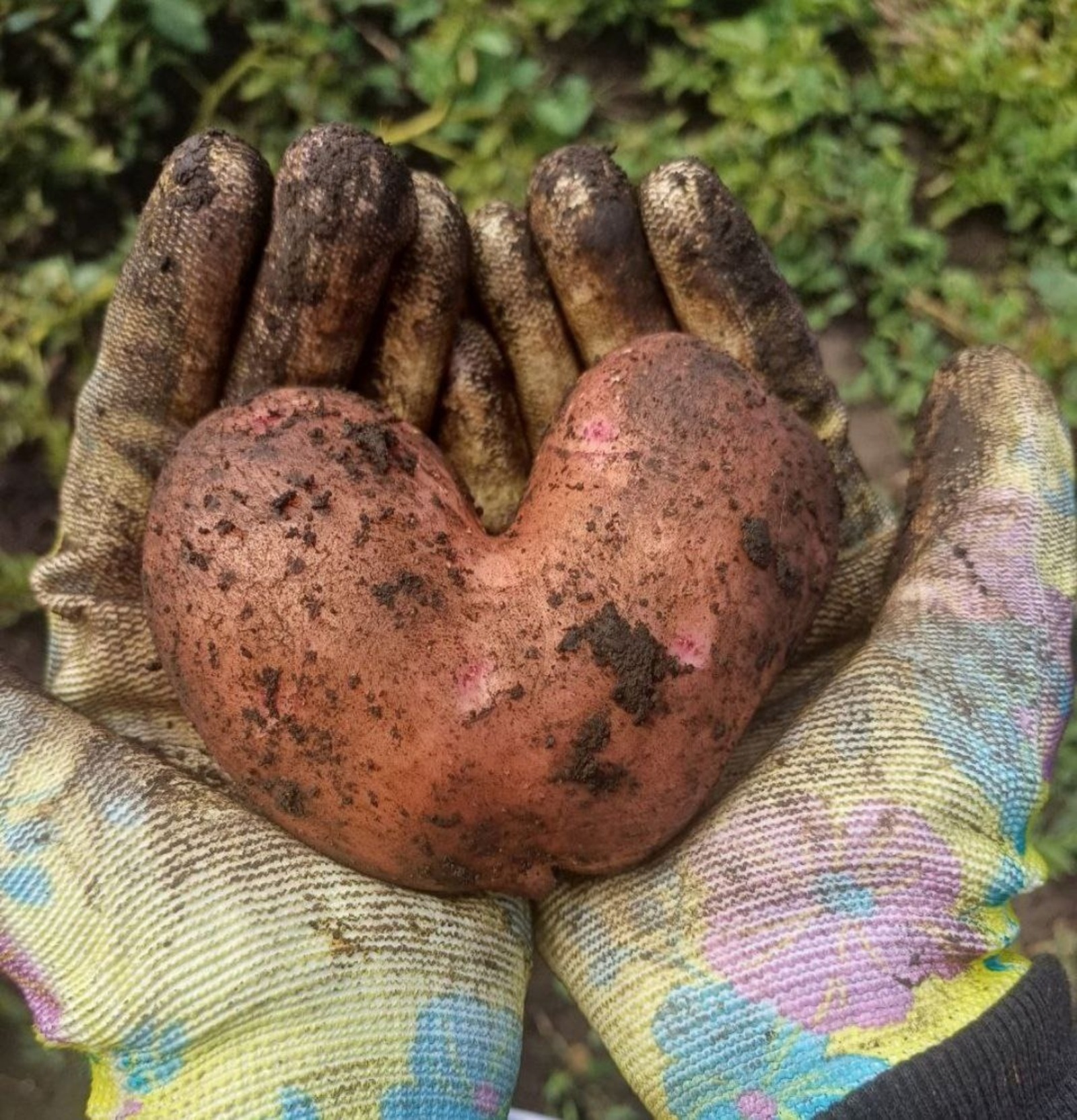 Айгуль Хуснурьялова / газета "Асылыкуль"