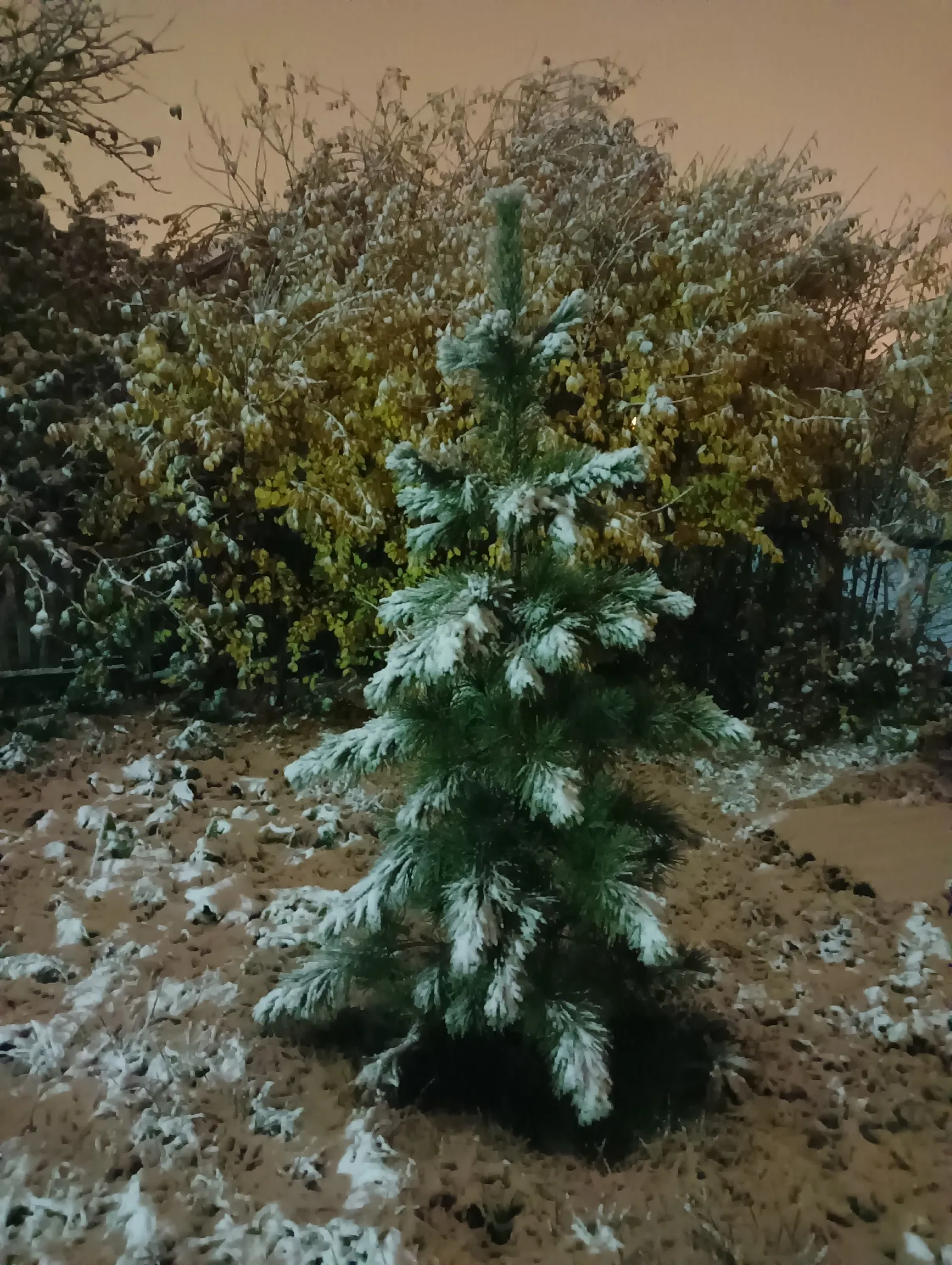 В Башкирии в выходные местами выпадет снег