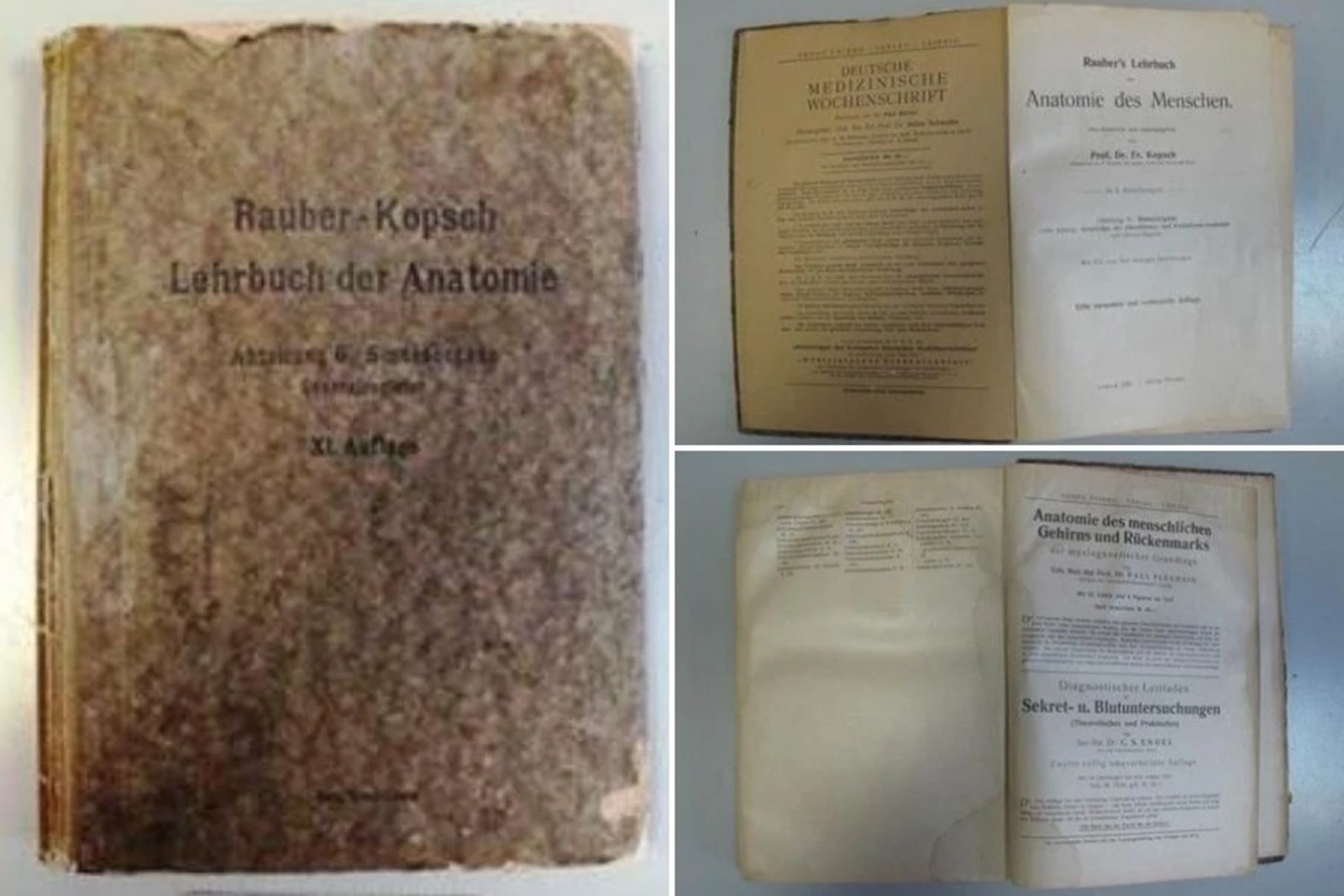 В аэропорту Уфы задержали женщину перевозившую запрещенный предмет