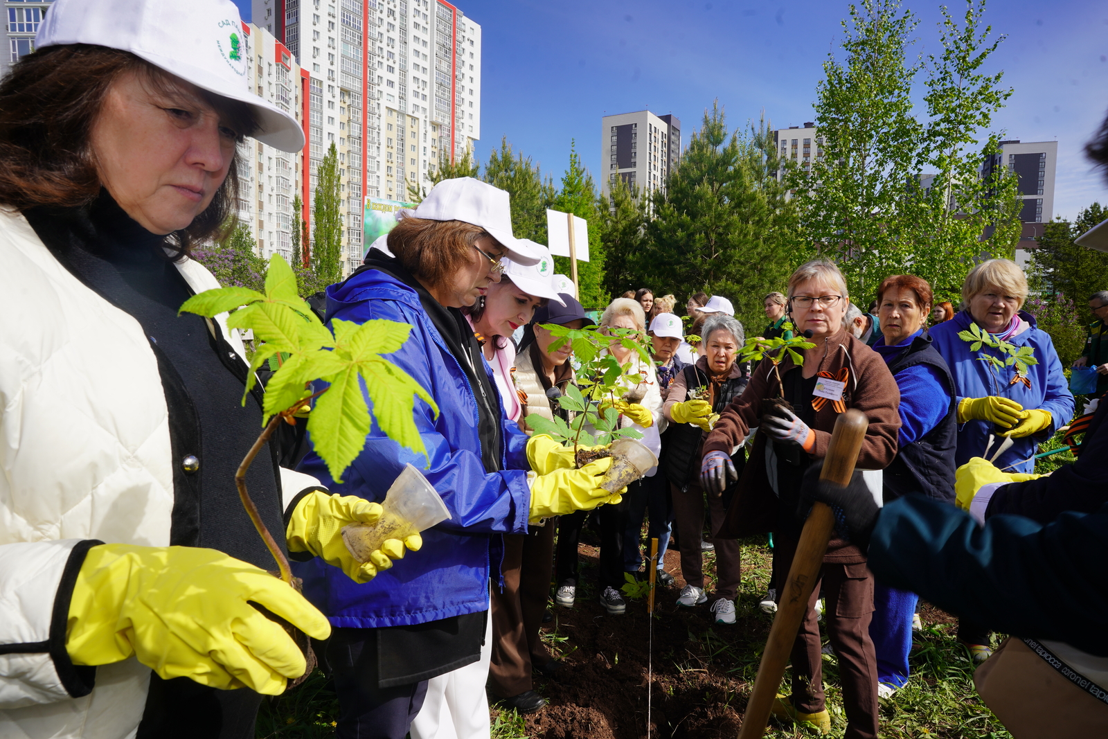 В столице Башкирии в честь 80-летия Великой Победы высадили 80 каштанов