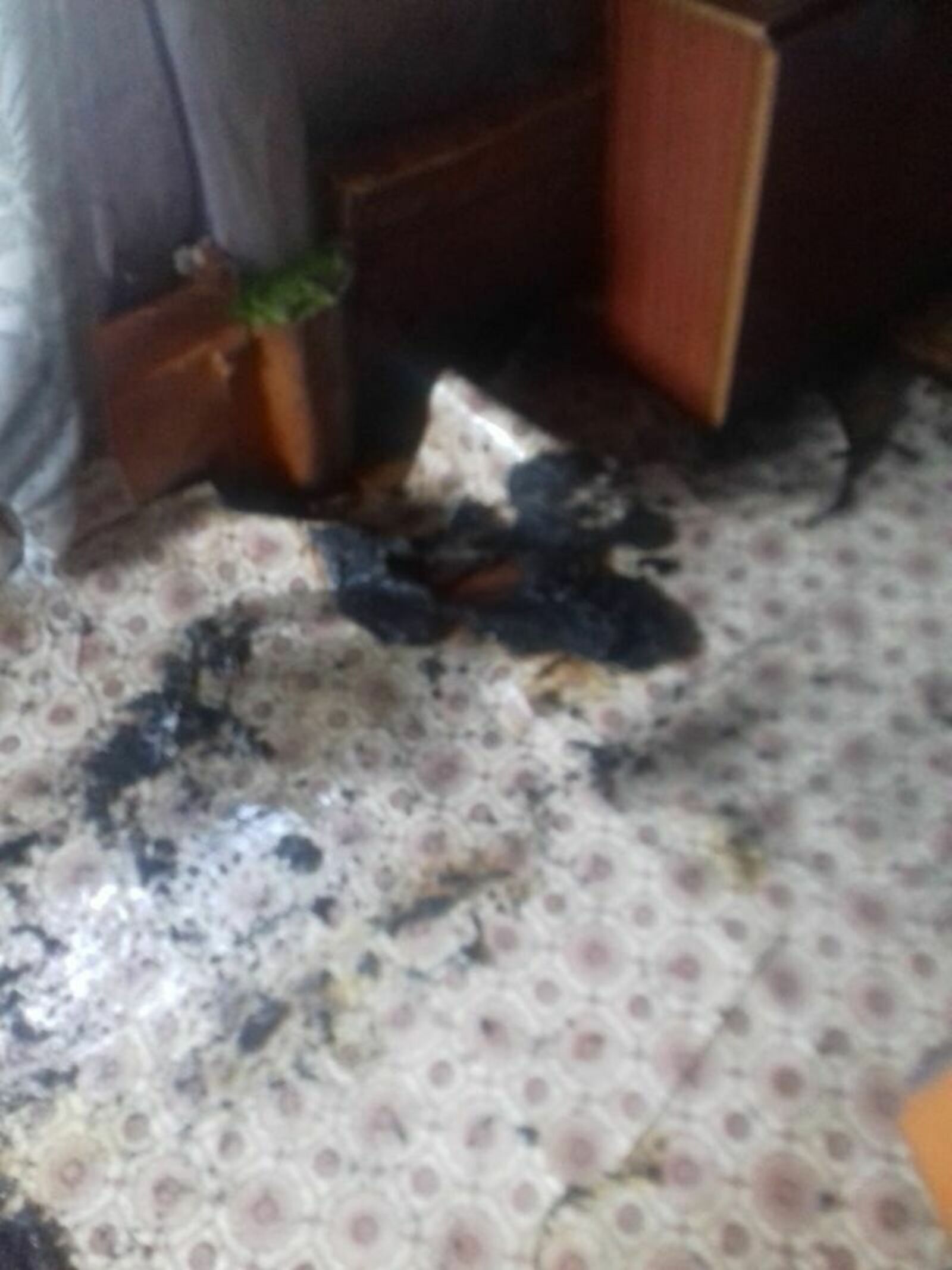 Очевидцы пожара в Башкирии: «Женщина выбежала на улицу в горящей одежде»