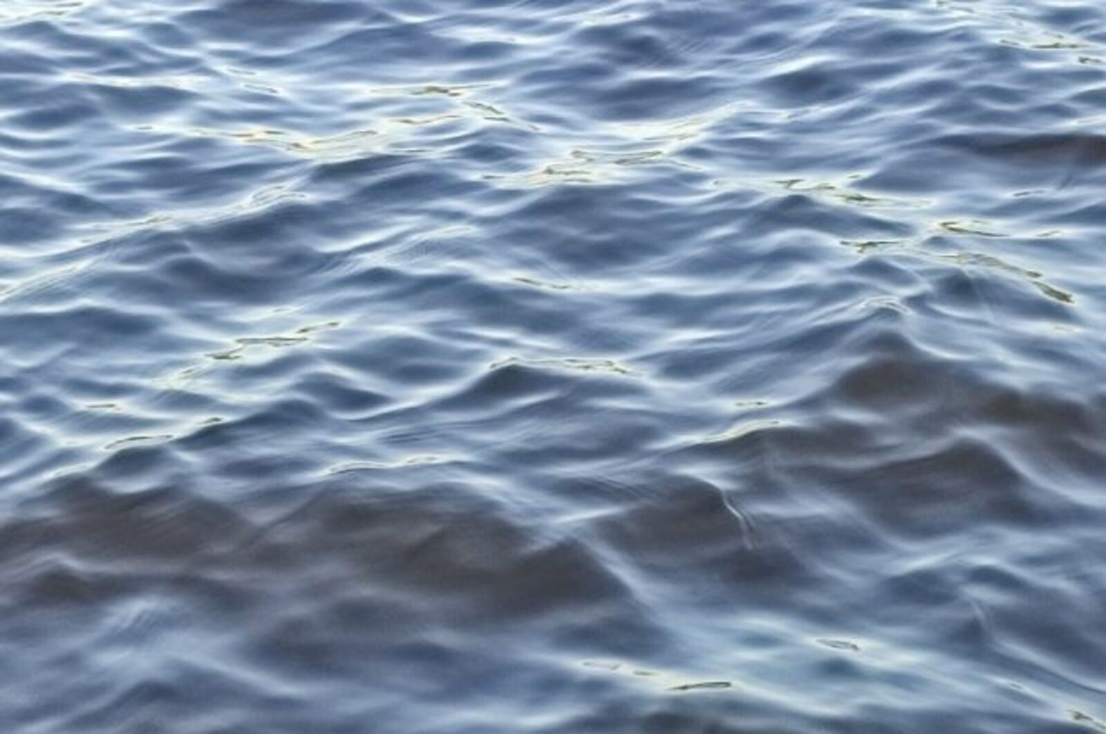17-летний подросток утонул в городском озере в Башкирии