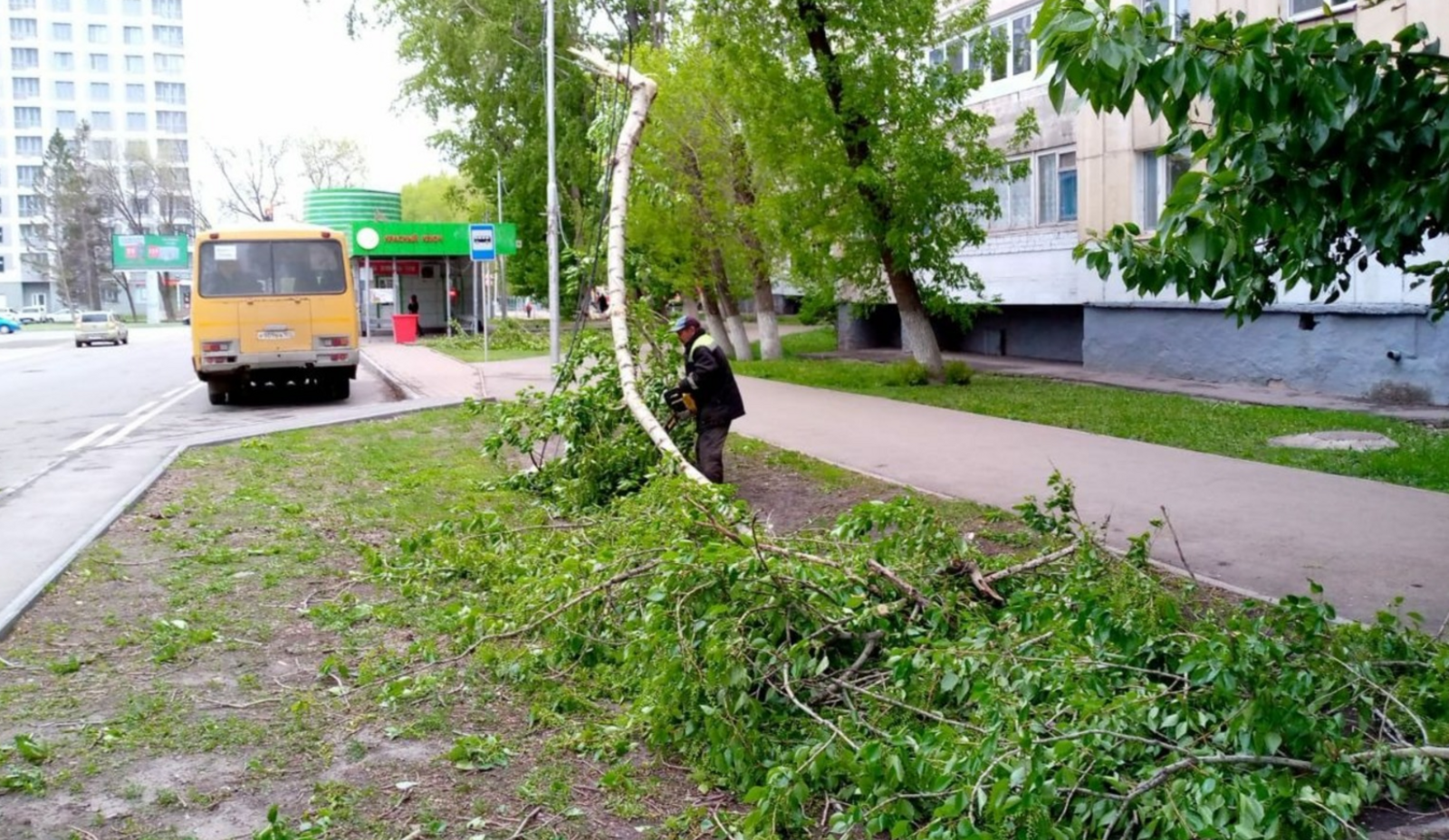 Уфа оказалась под ударом стихии: сильный ветер и его последствия