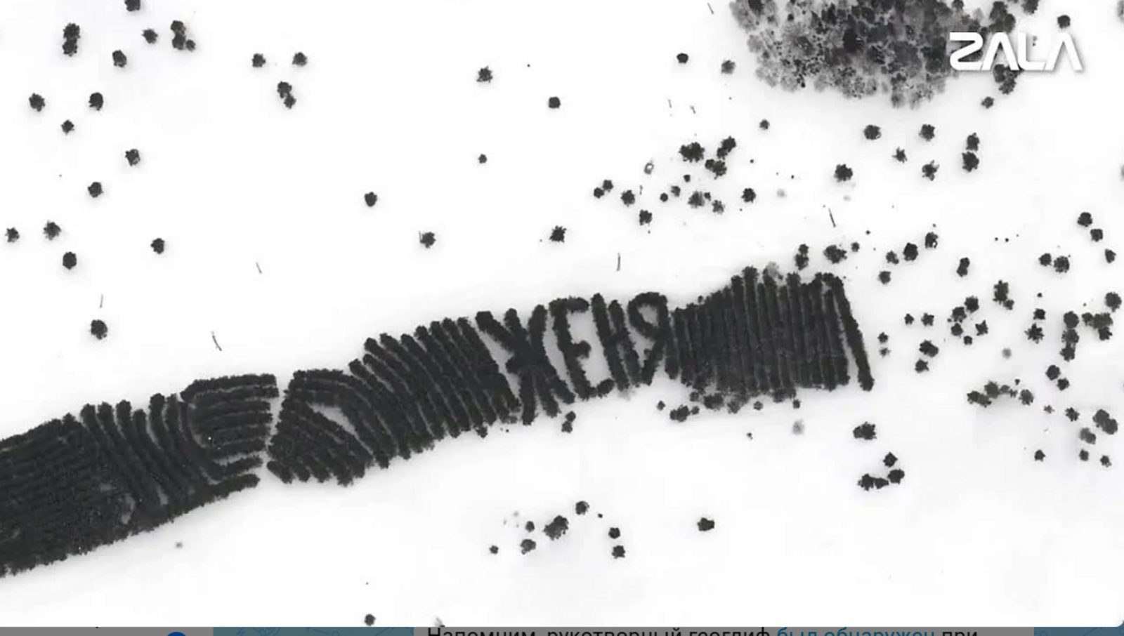 В Башкирии нашли надпись из деревьев — оказалось, это имя сына лесника