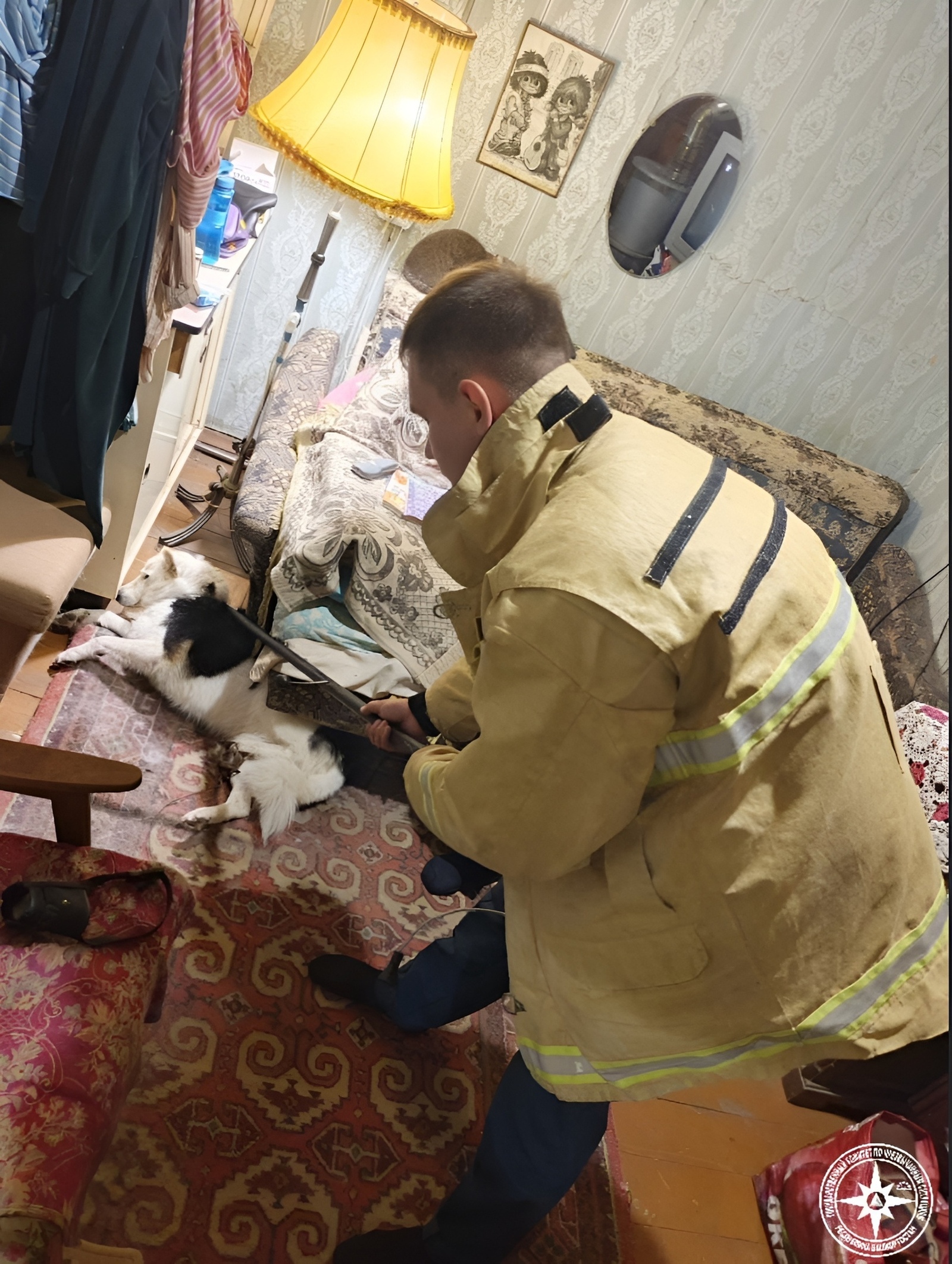 Спасатели Башкирии высвободили собаку из капкана