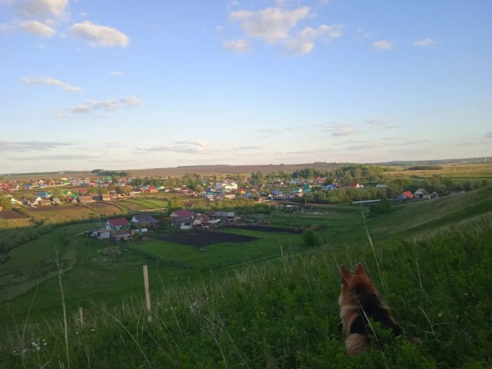 Вид на деревню с горы Хужи. Лето 2025 г.