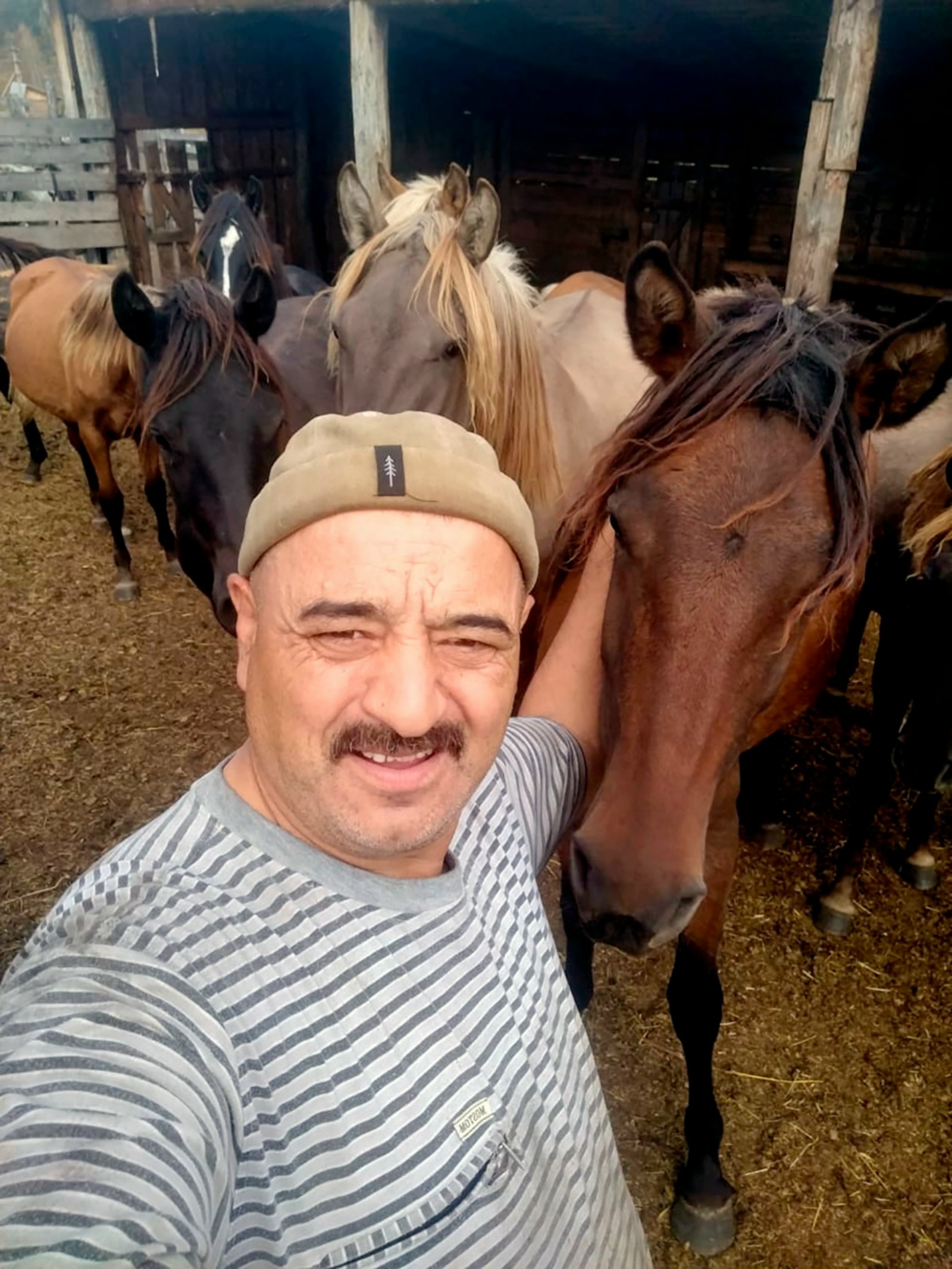 В Башкирии ветеран СВО получил господдержку на развитие хозяйства