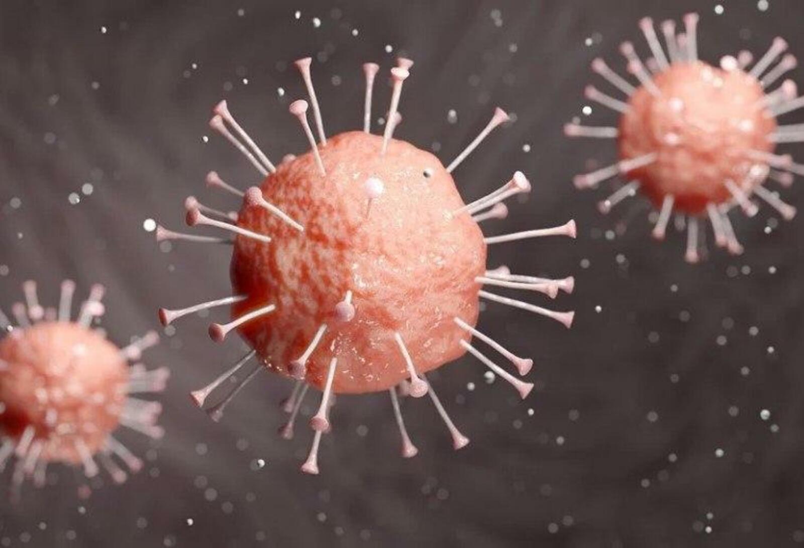 Ученые выяснили, почему пожилые люди более восприимчивы к коронавирусу