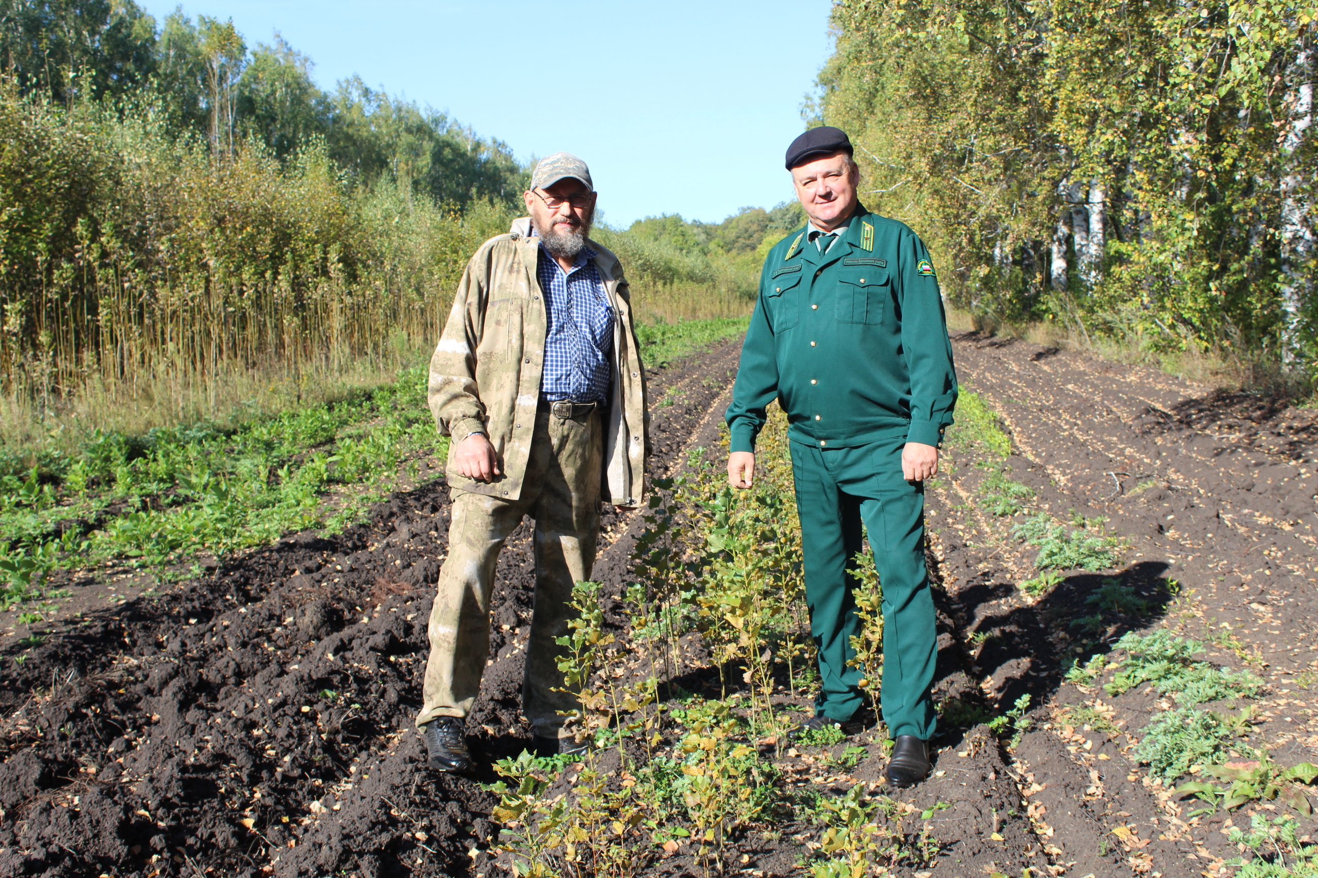 В Аургазинском районе Башкирии есть три лесничества