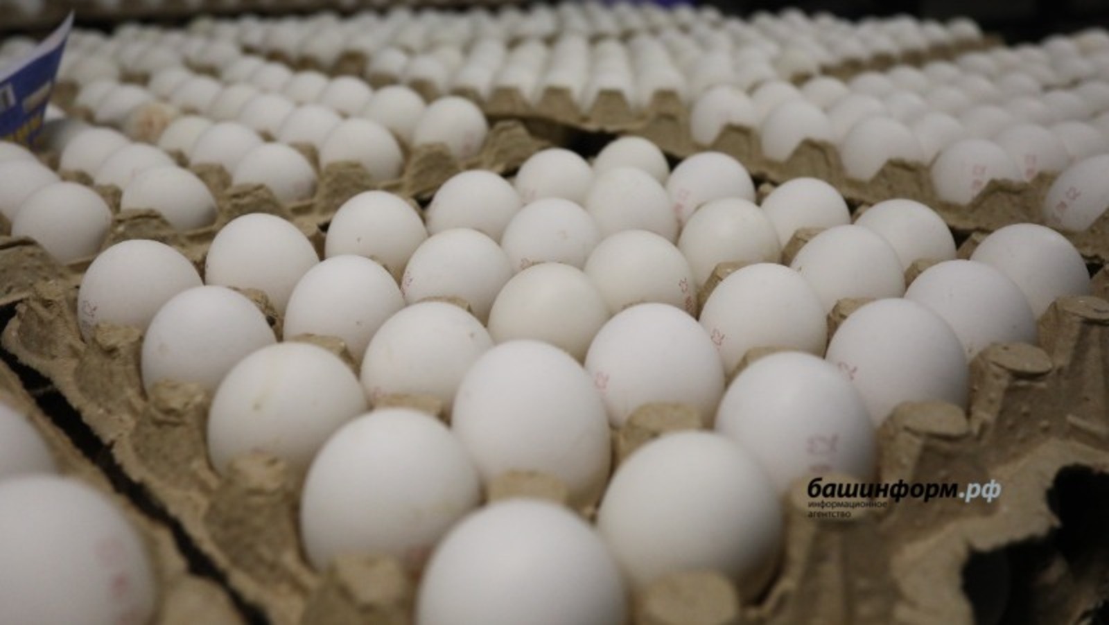 УФАС по Башкирии потребовало от «Пятерочки» снизить цены на куриные яйца