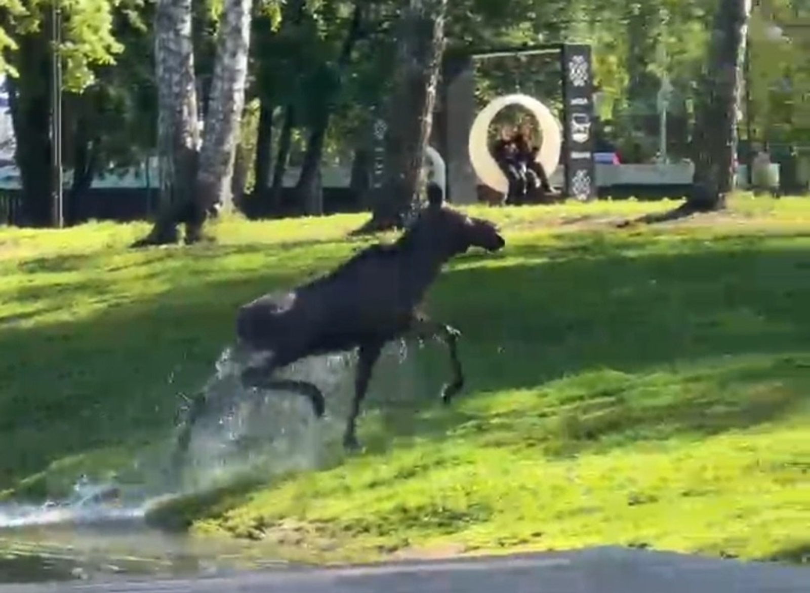Фото: соцсети Министерства природопользования и экологии республики Башкортостан.