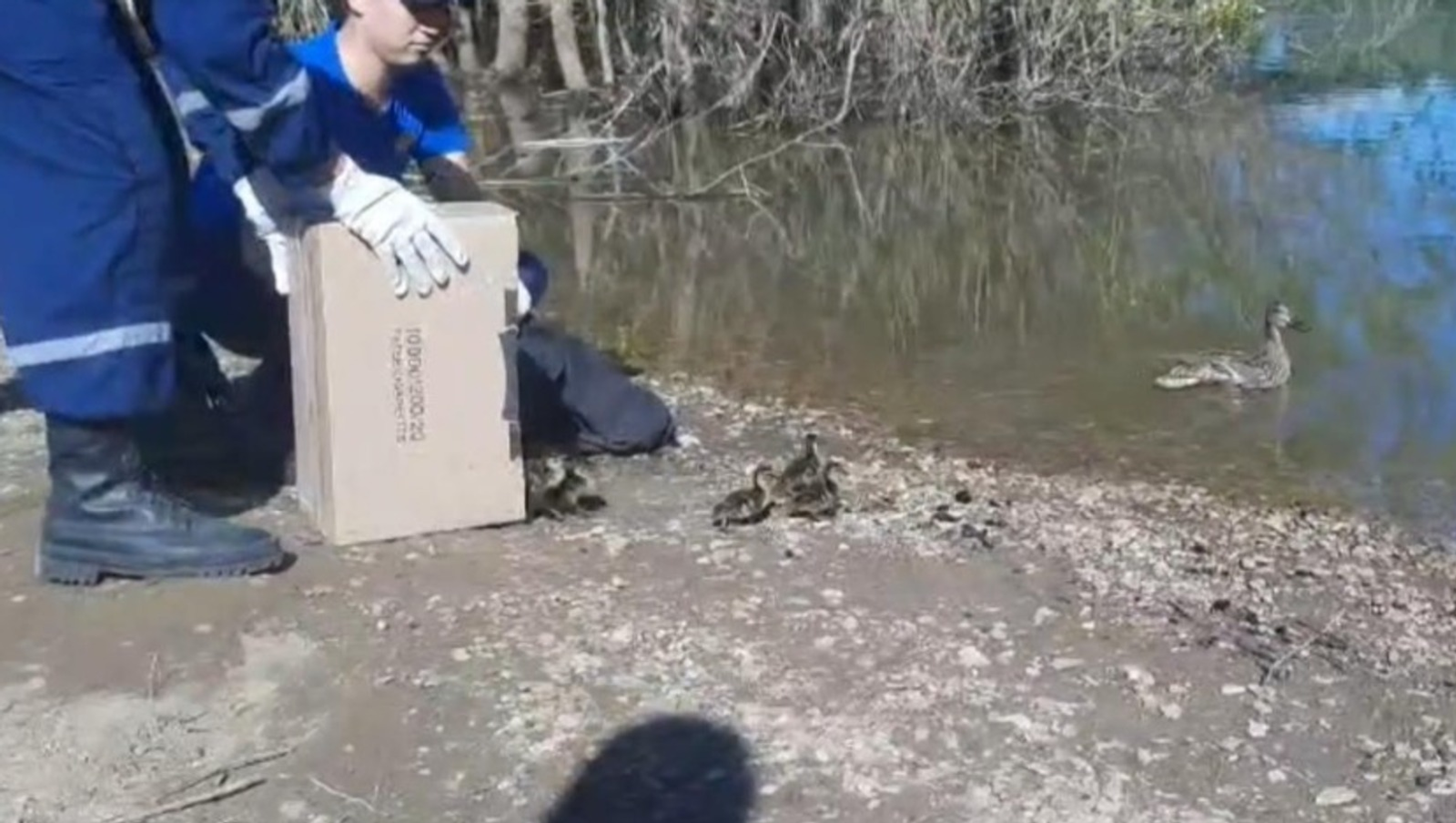 Фото: УГЗ по Уфе