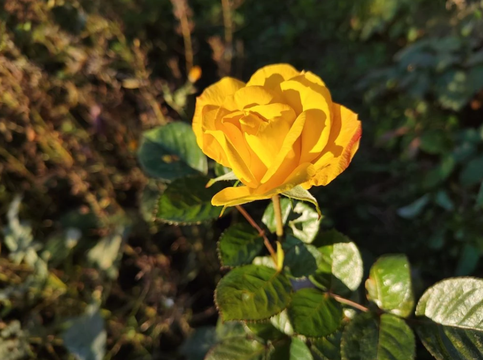 Фото: Гузель Кудашева / Аургазинский вестник