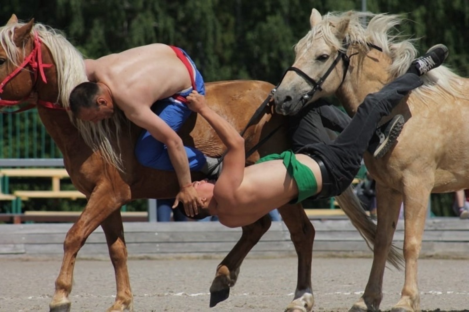 Спортсмен из Башкирии стал чемпионом мира по борьбе корэш на лошадях