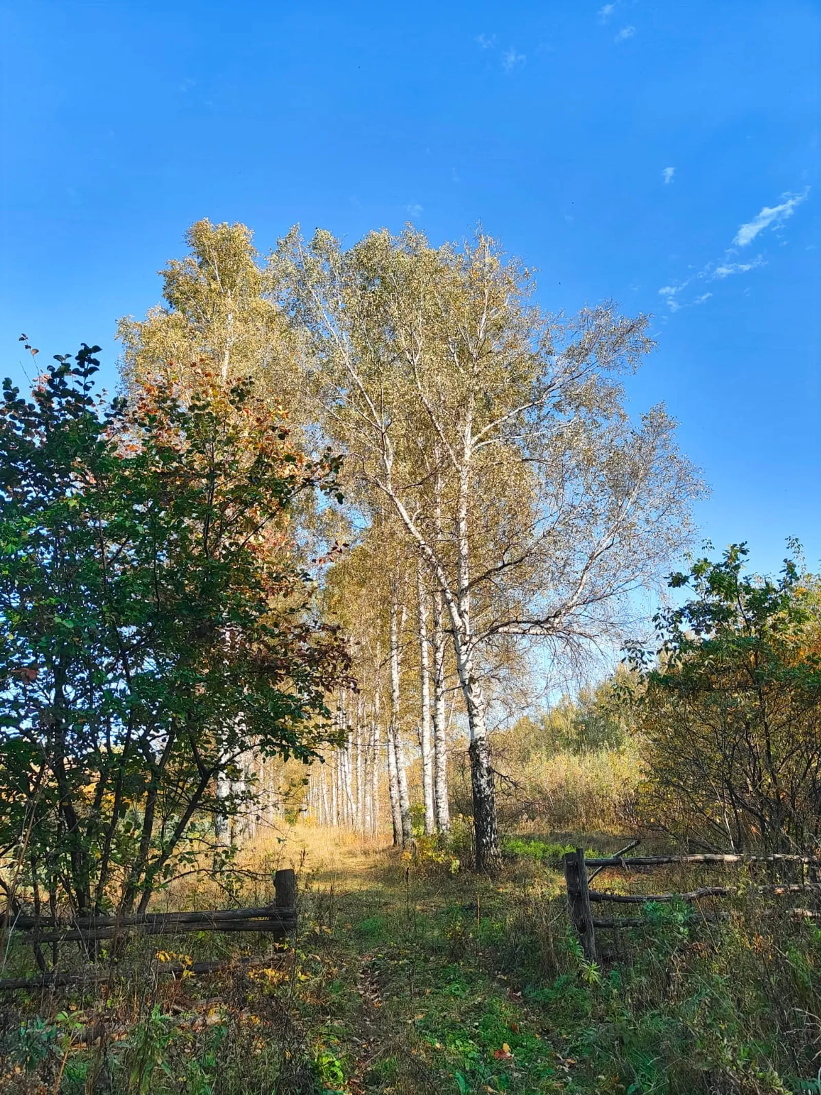 Фото: Гузель Кудашева / Аургазинский вестник.