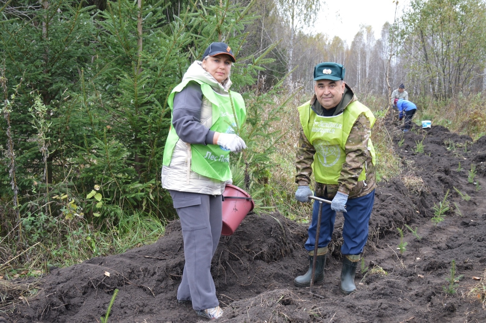 В 2026 году лесоводы Башкирии проведут лесовосстановление на площади 13 тыс га