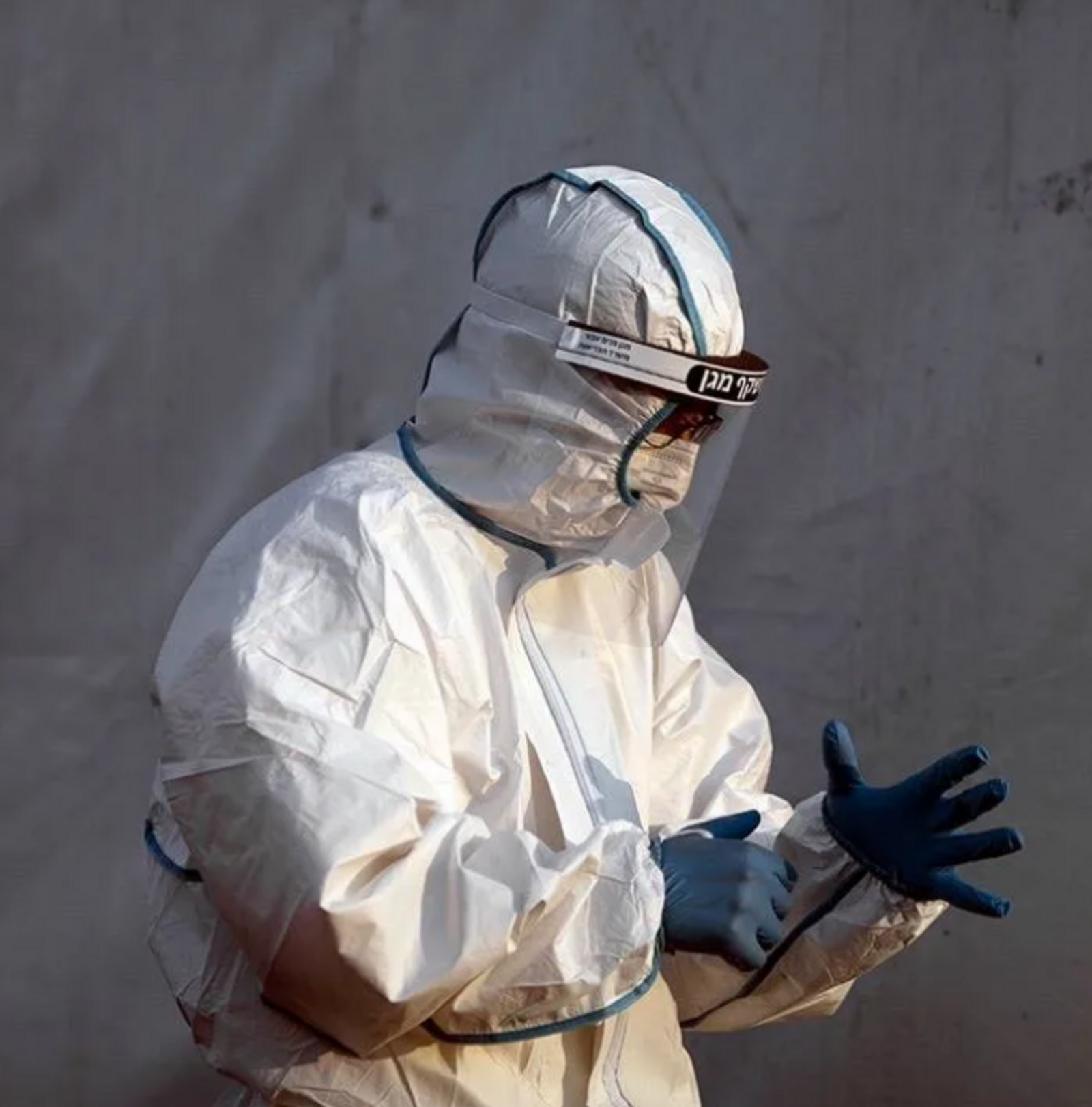 В Башкирии ввели карантин по бешенству