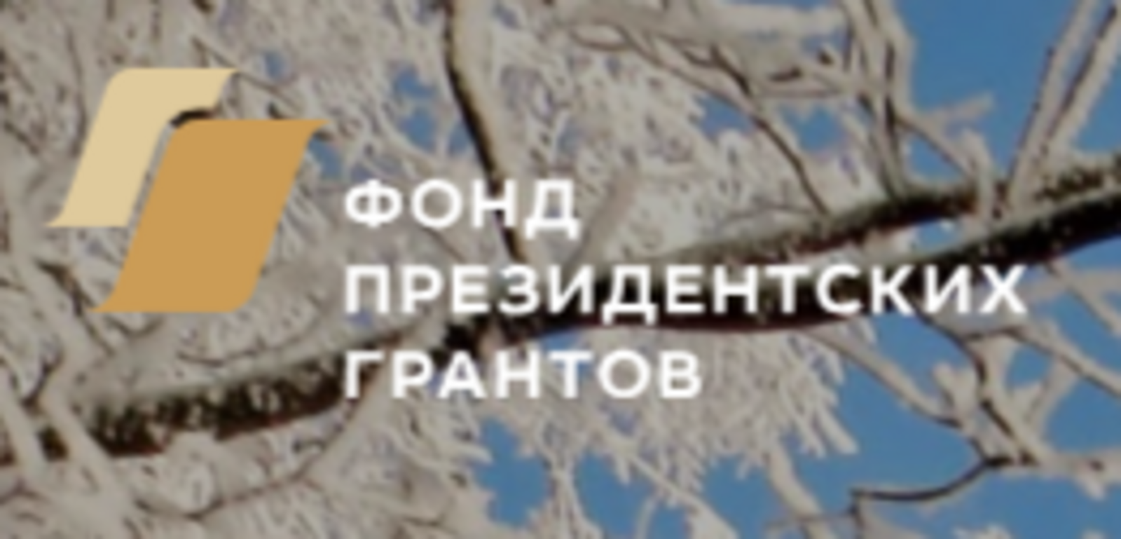 НКО Башкирии приглашают участвовать во 2-м конкурсе Фонда президентских грантов