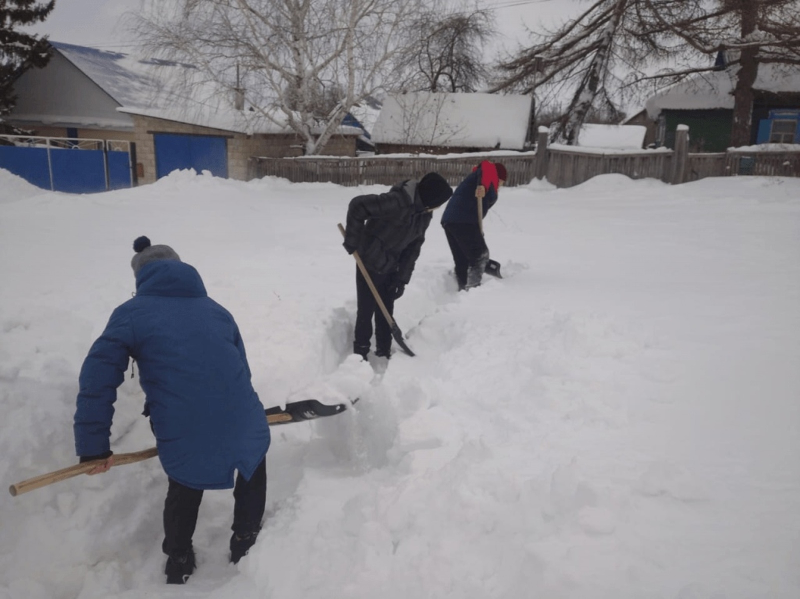 Активисты волонтерского отряда «Снежный десант» взяли в руки лопаты и помогли одиноким пенсионерам очистить двор от снега