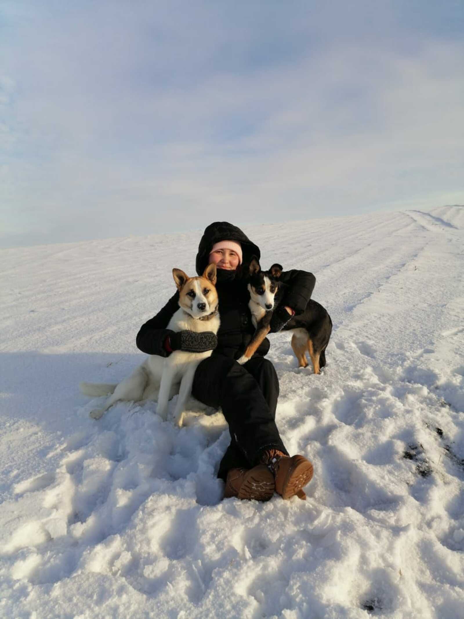 Жительница Башкирии своими силами спасает бездомных животных