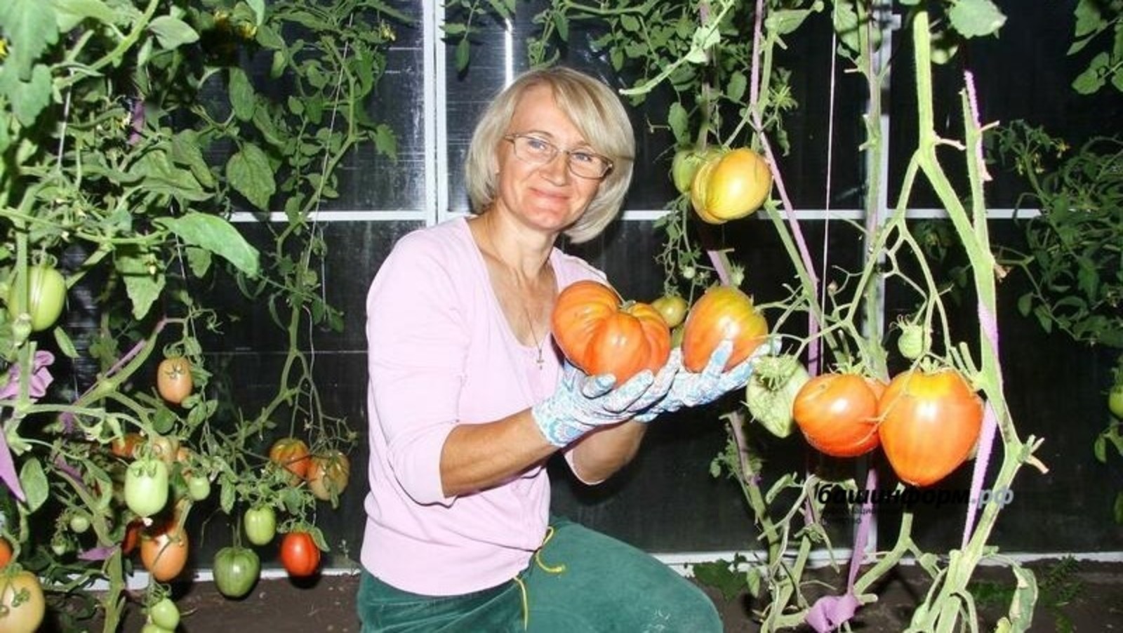 Садоводы Башкирии получат субсидии за выращенные овощи