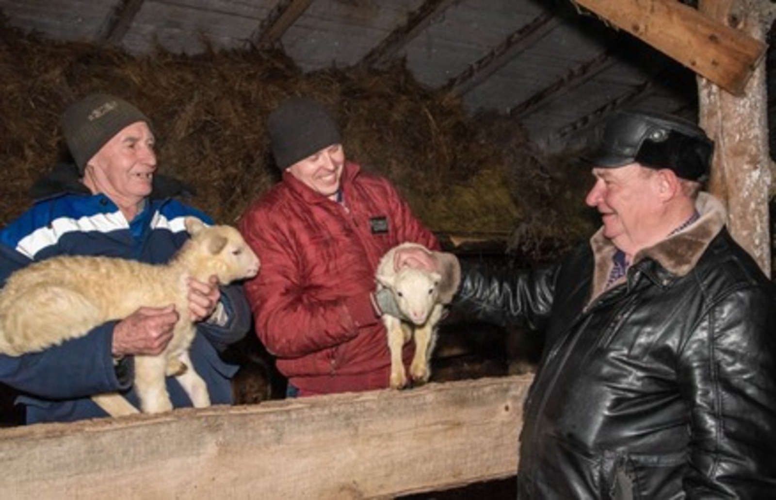 Программа «Семейные животноводческие фермы» помогает фермеру из Туймазов заниматься овцеводством