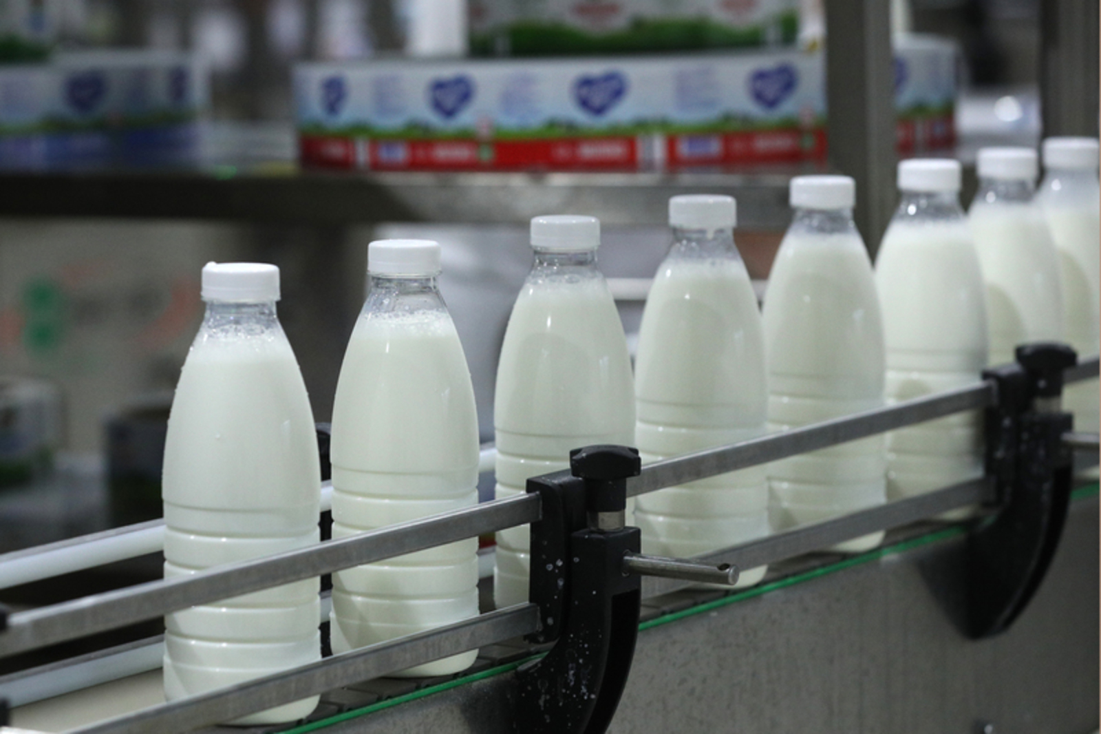 В Башкирии - избыток молока