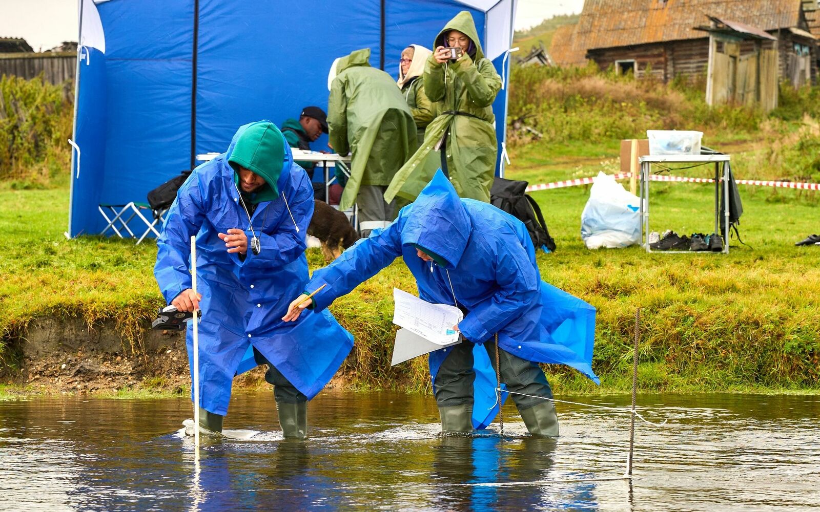 В 2025 году 4,4 млн жителей Башкирии стали участниками экологических мероприятий