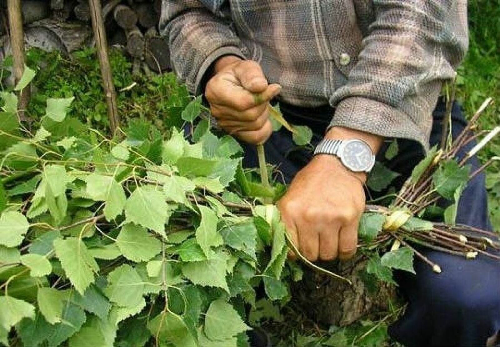 Деревенские жители из Башкирии зарабатывают на маркетплейсах по 550 тыс.рублей