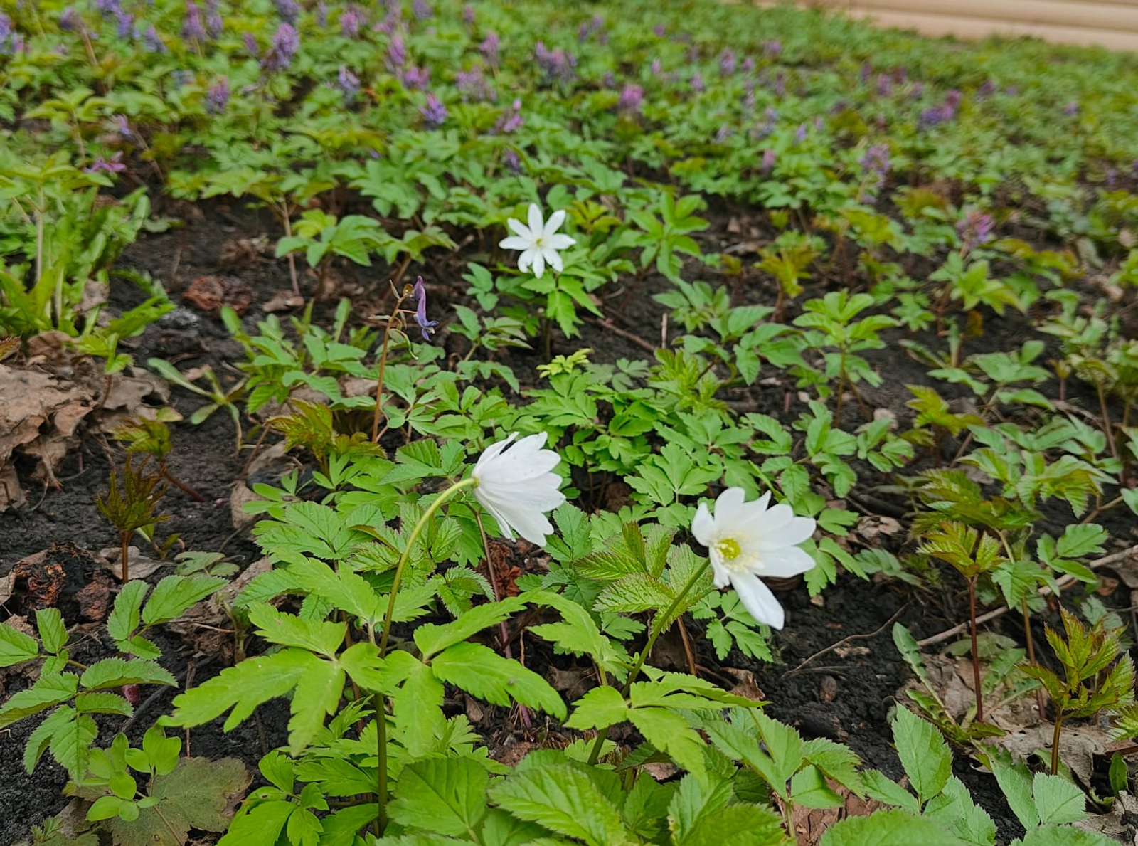 В Башкирии ожидаются до +26 градусов