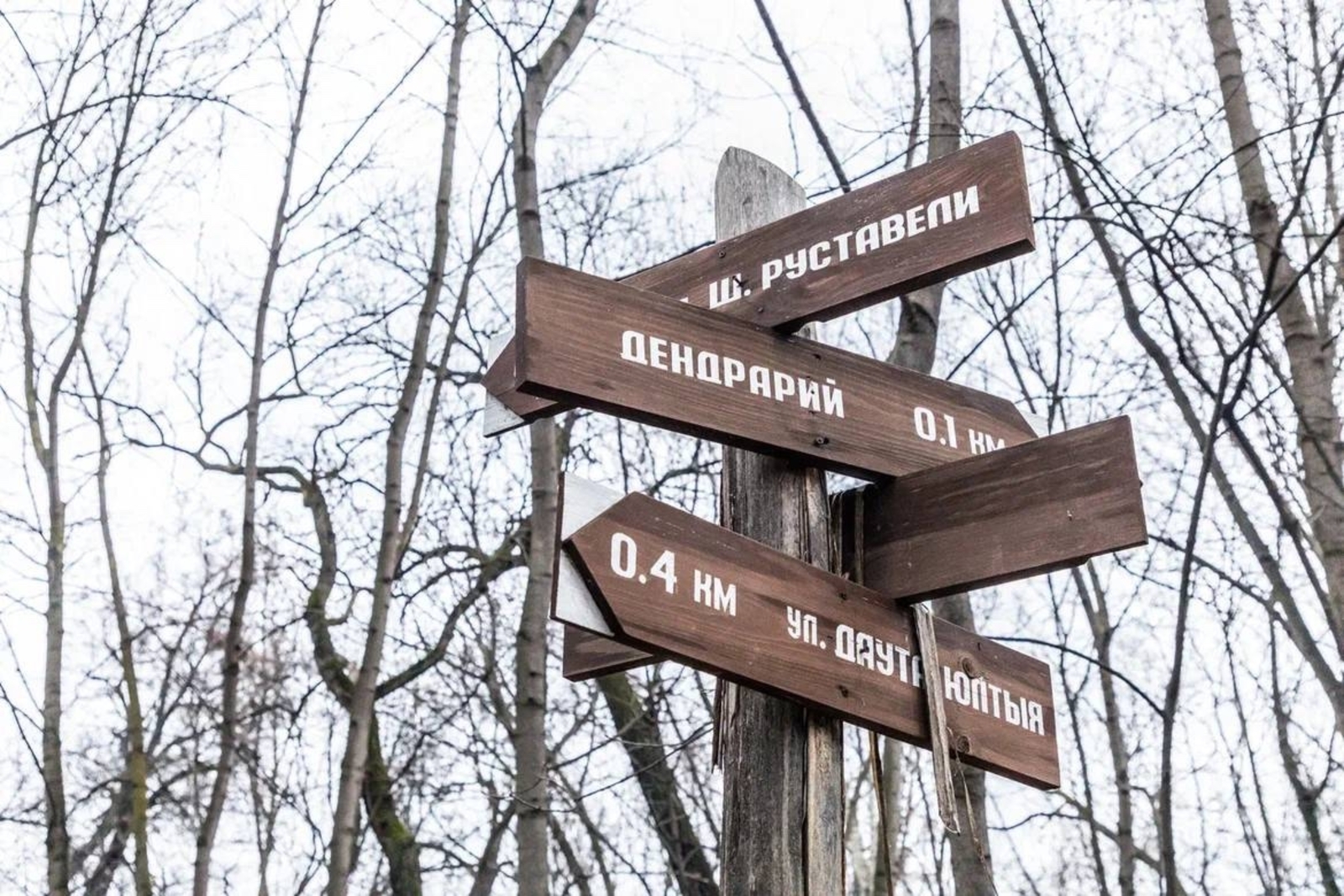 Фото: соцсети Р. Мавлиева