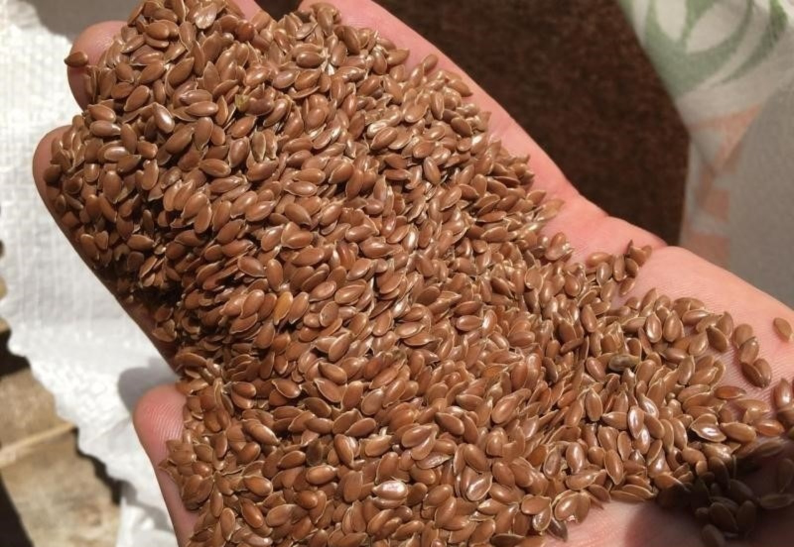 Башкортостан экспортировал в Казахстан крупную партию льна