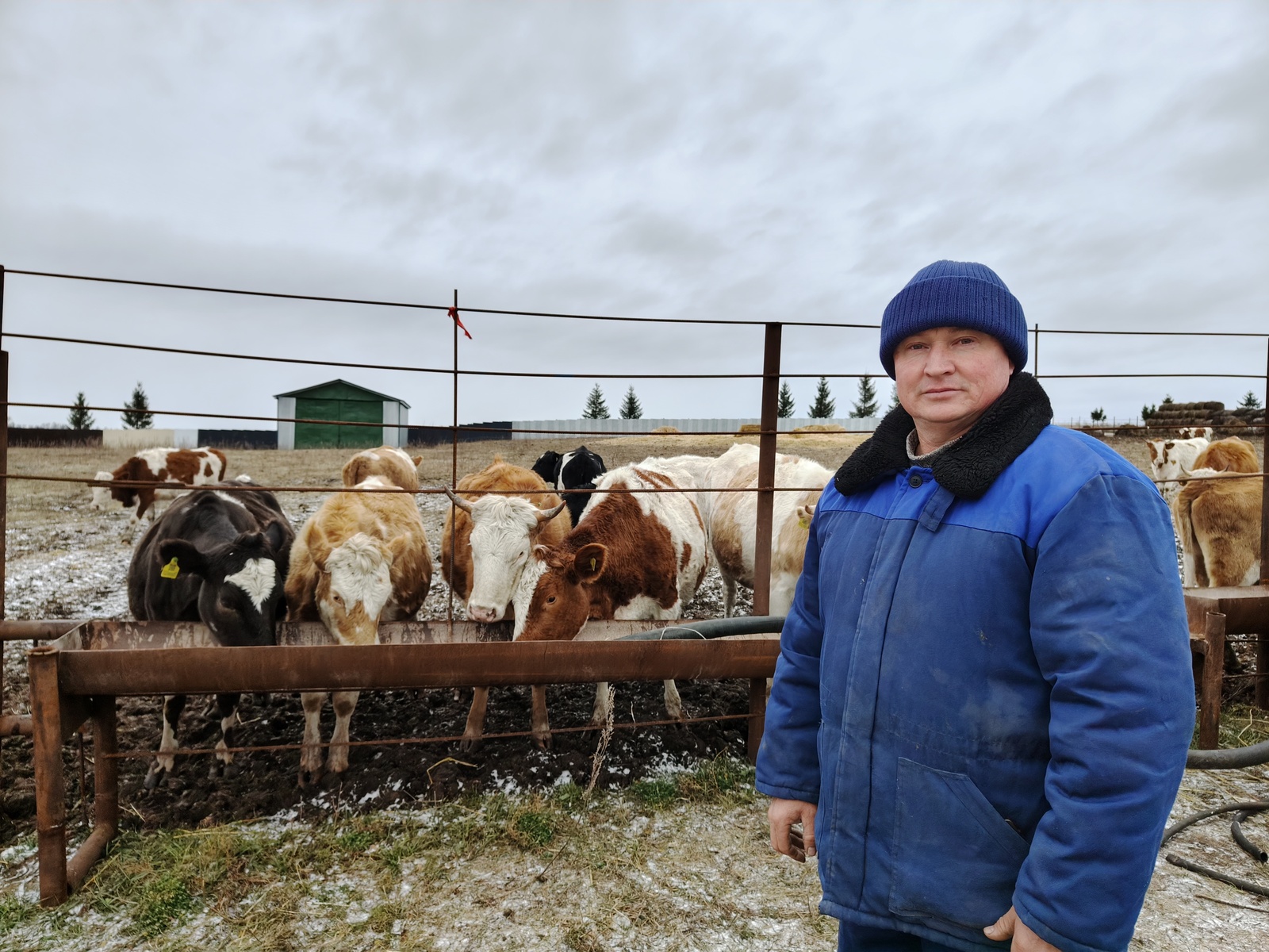 В Башкирии фермер получил по "Агростартапу" 7 млн рублей и развивает хозяйство