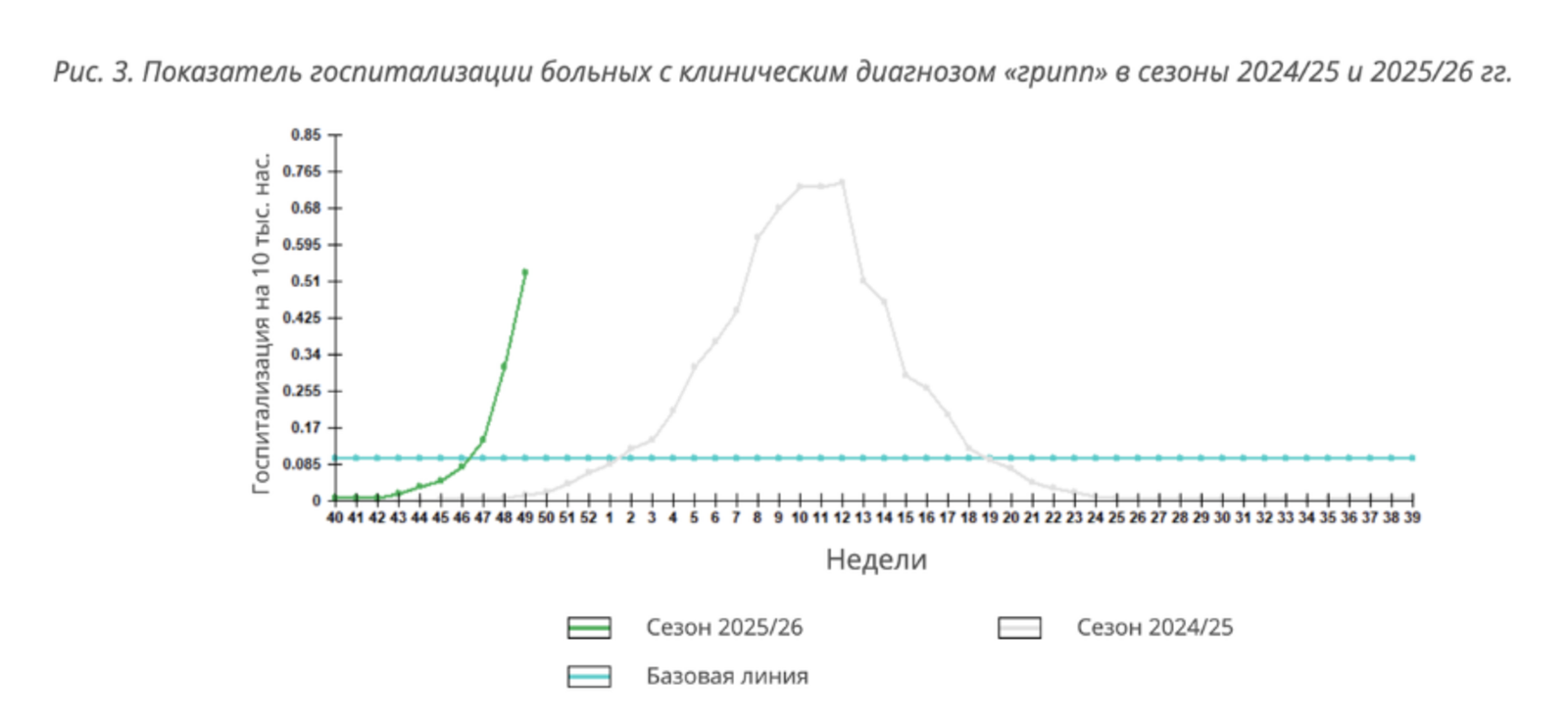 Фото: скриншот с Дзен-канала Д. Карташевой