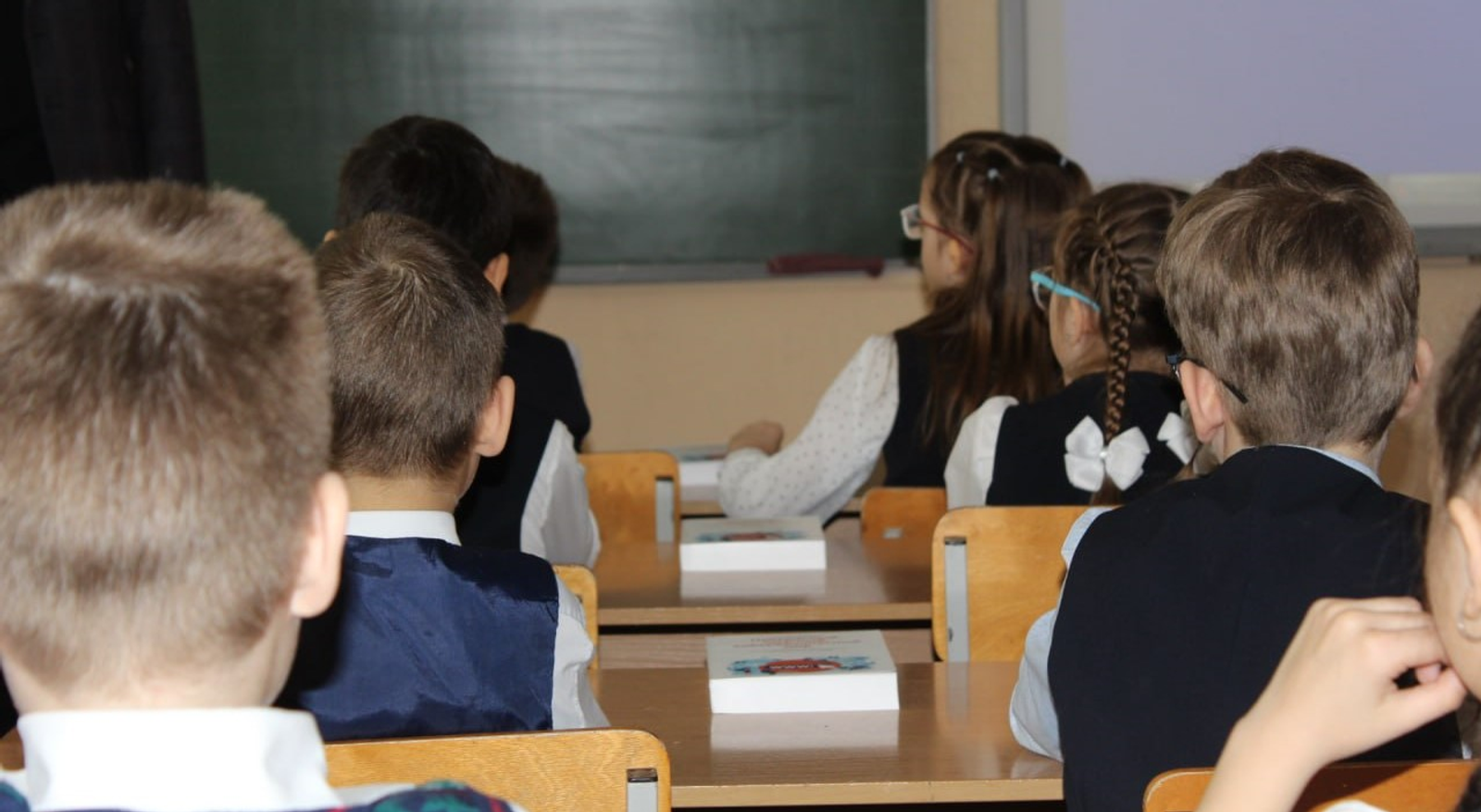 В Башкирии в 1-ю волну записи в 1 класс подали 35 тыс заявлений через Госуслуги