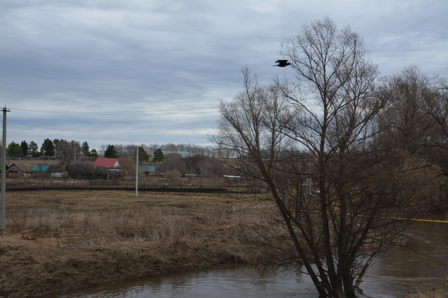 Фото: Гузель Кудашева.