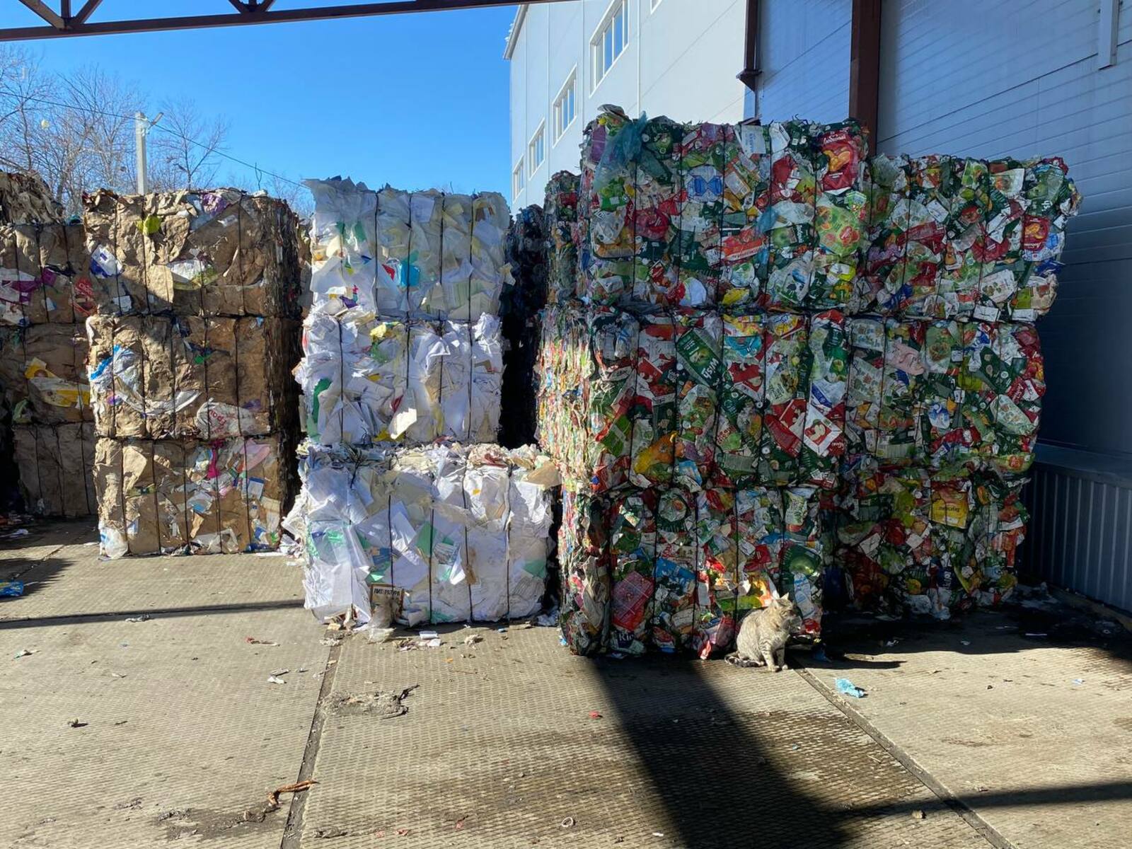 За 2025 год Башкирия перевыполнила планы нацпроекта "Экологическое благополучие"