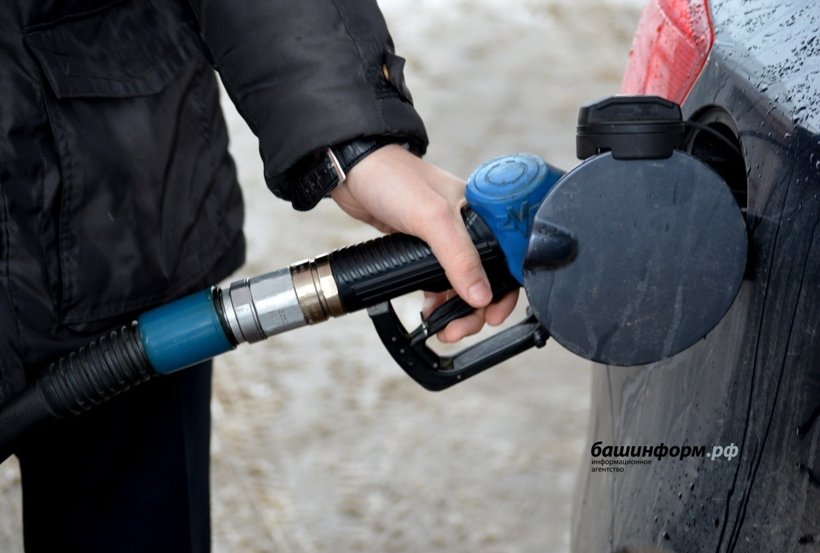 Фото: Ксения Калинина / russiabase