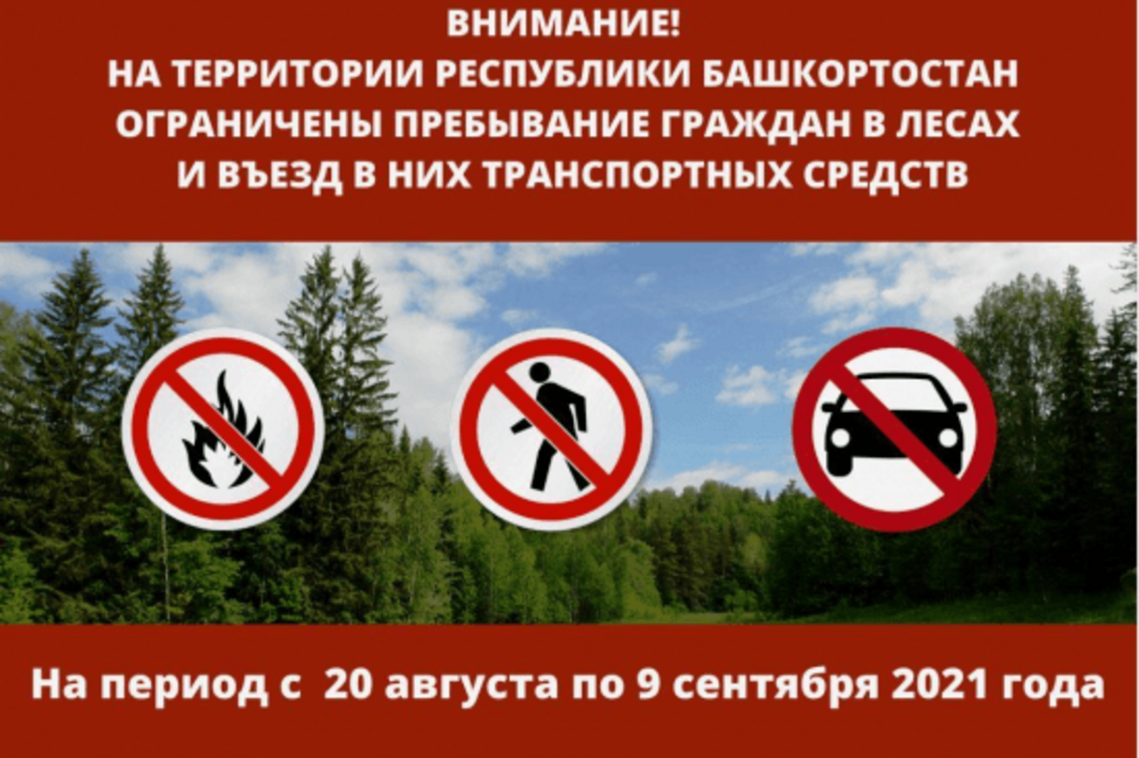 В Башкирии с 20 августа запрещено входить и въезжать в леса