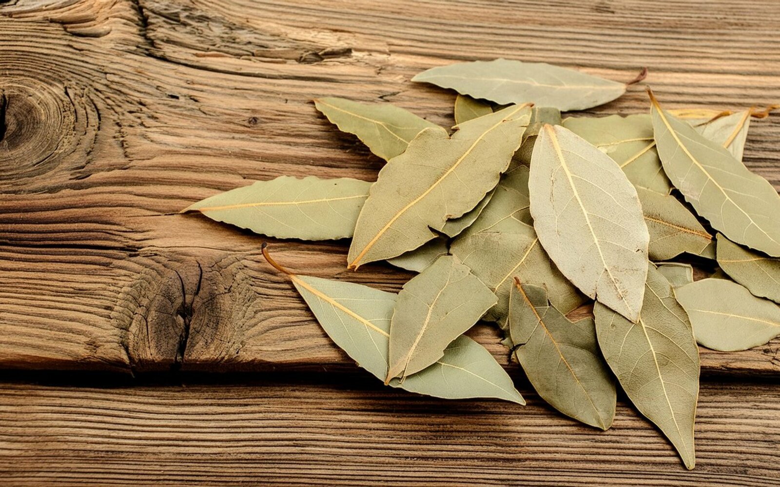 Агроном из Башкирии рассказала,что огороднику нужно делать с лавровым листом