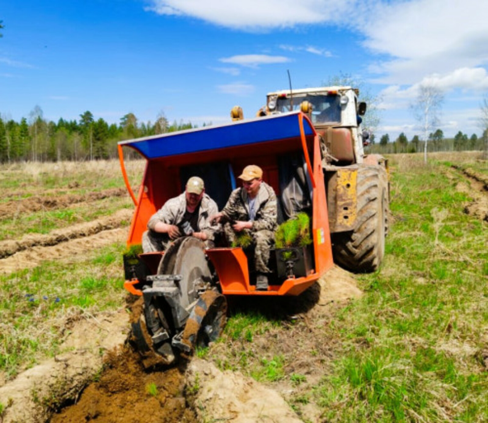 В Башкортостане перевыполнили объем весенних лесокультурных работ