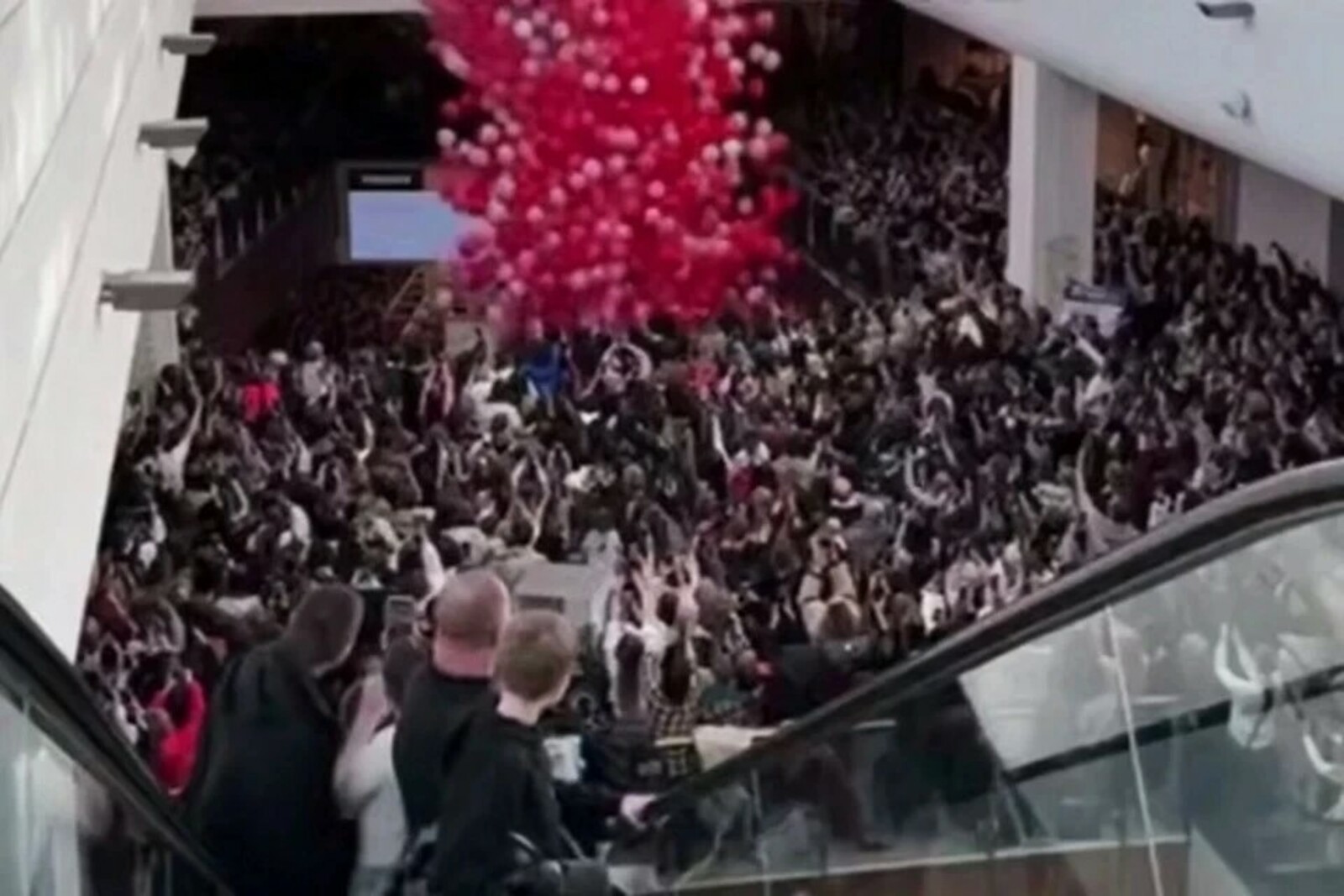 Фото: кадр видео из соцсетей  Читайте на WWW.KP.RU: https://www.kp.ru/online/news/6819887/  В ТЦ «Планета» впервые высказались о пострадавших в давке на 14 февраля