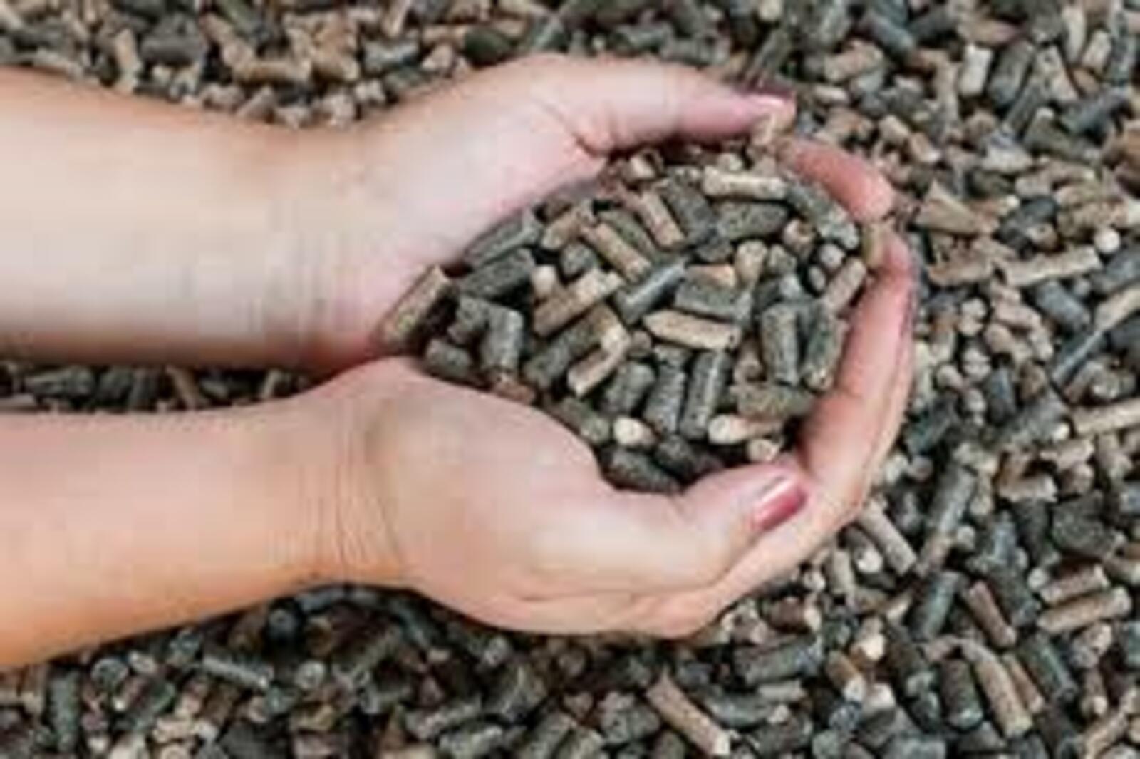 Башкирия экспортировала в Туркменистан пробную партию подсолнечного шрота