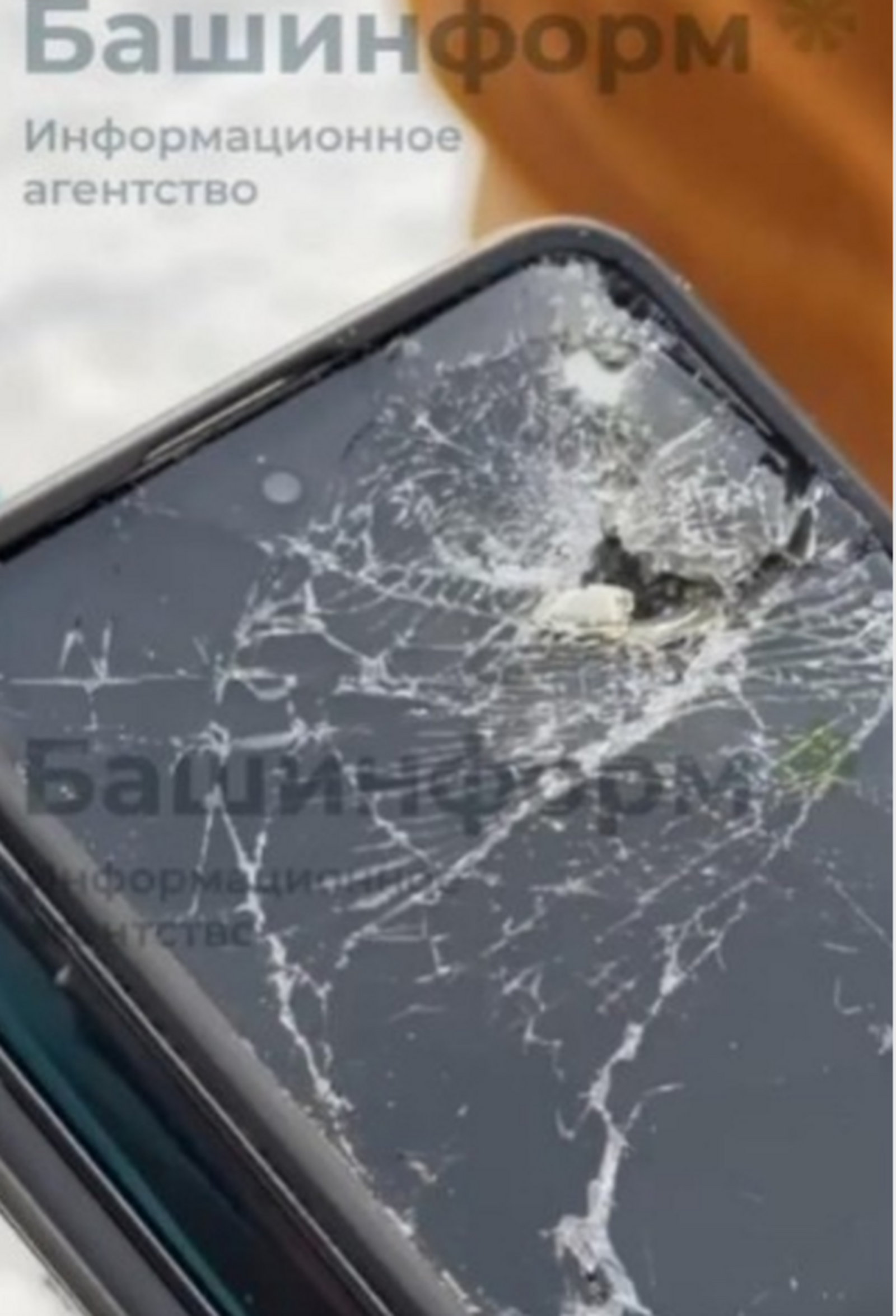 Асен Муртазин Башинформ В Башкирии ноубордиста от медведя спас телефон