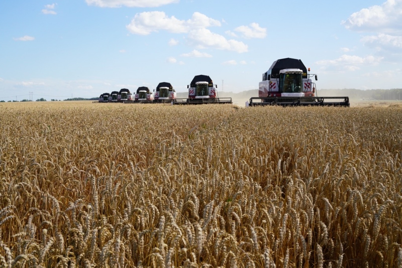 Жатва-2022: Аургазинские хлеборобы  бьют рекорды и делятся секретом высокого урожая