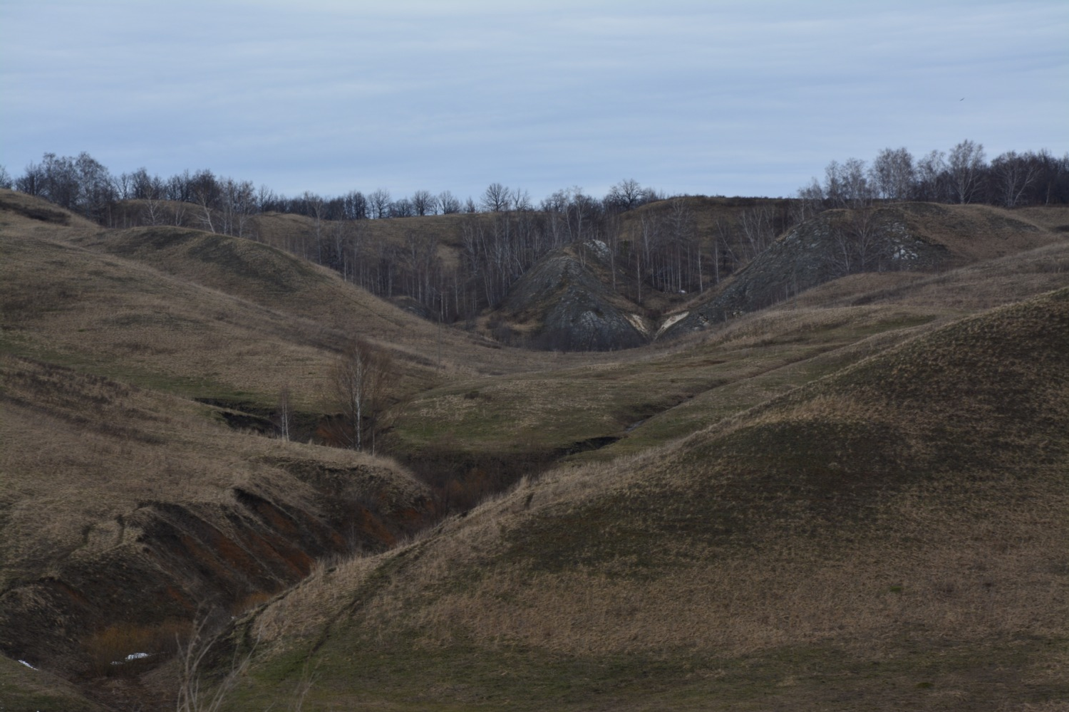 Фото: Гузель Кудащевой.