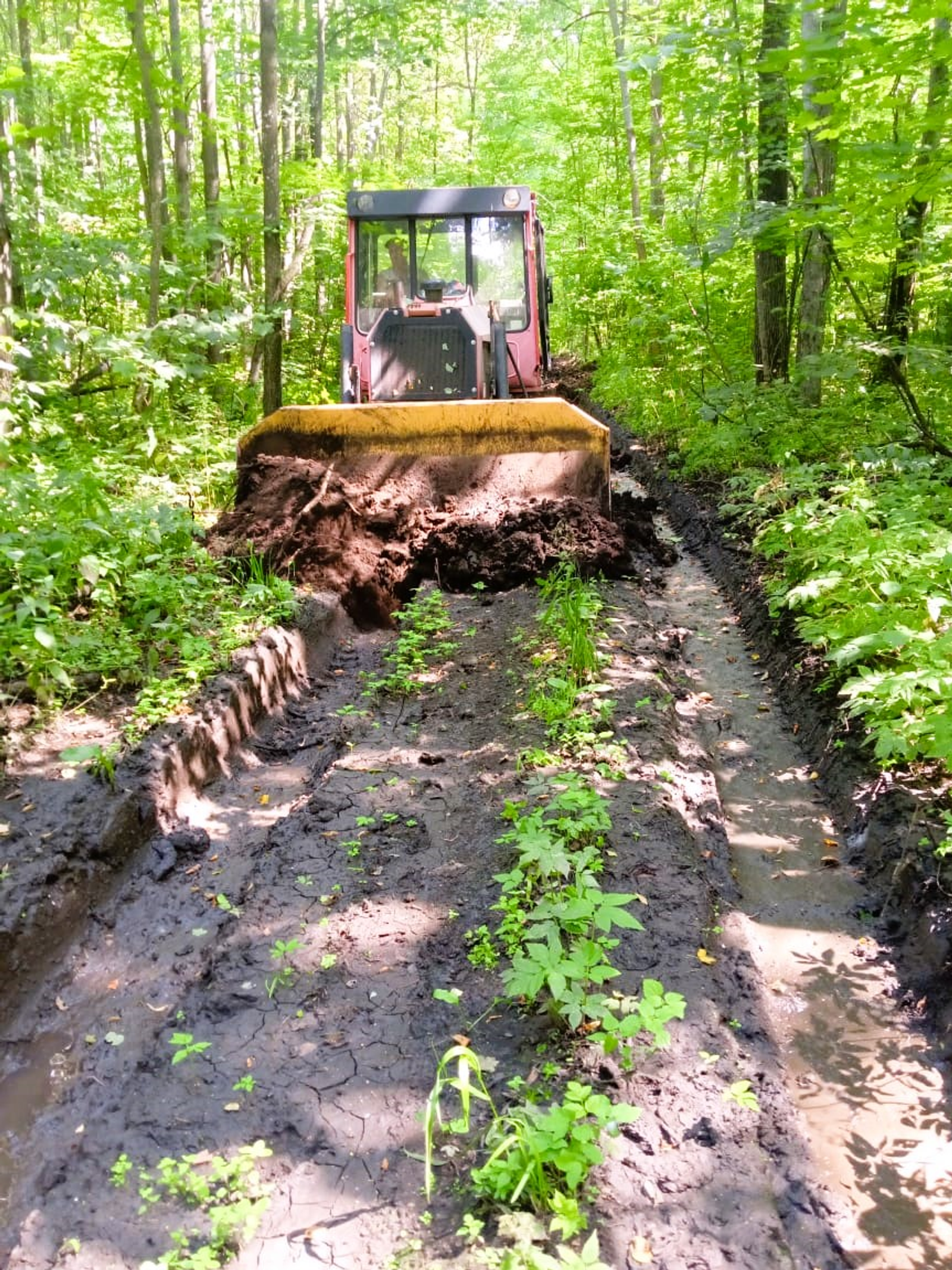 В Башкирии создано и реконструировано более 240 км лесных дорог